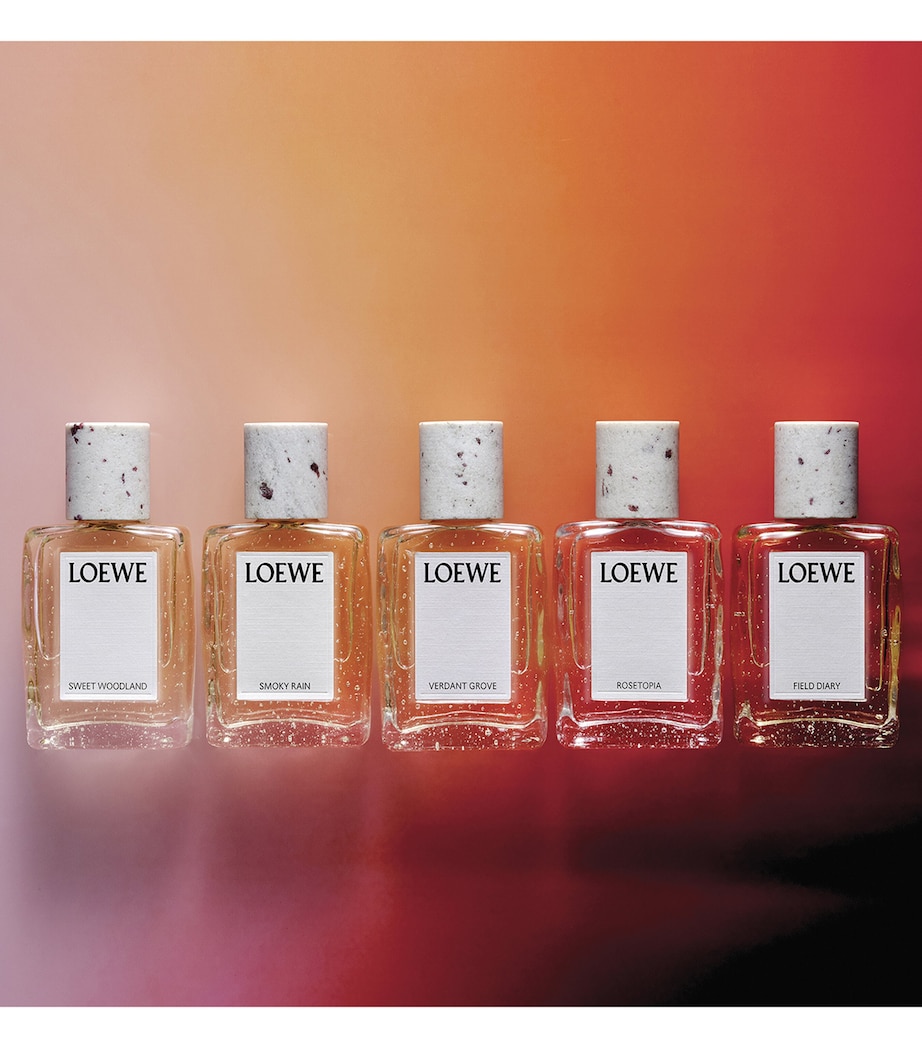 LOEWE Perfumes Rosetopia Eau de Parfum (100ml) Image 5