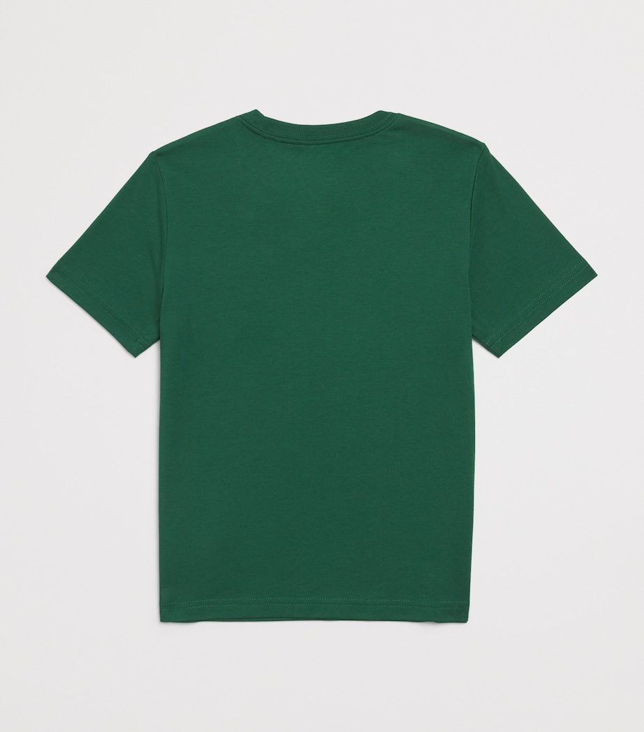 Cotton Logo T-Shirt (2-7 Years) GREEN Image 2