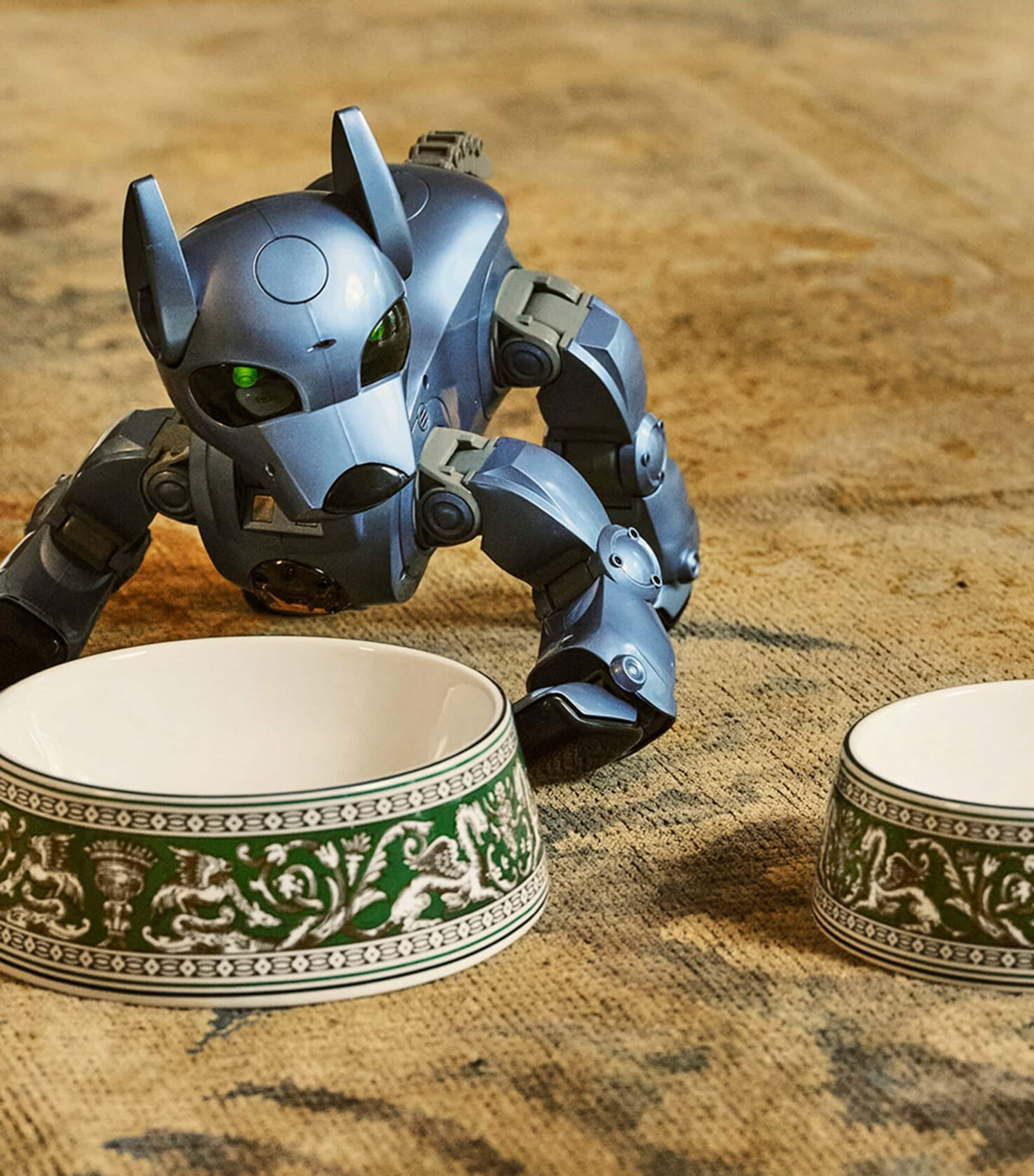 Wedgwood Bone China Florentine Pet Bowl (17cm) Green Image 2
