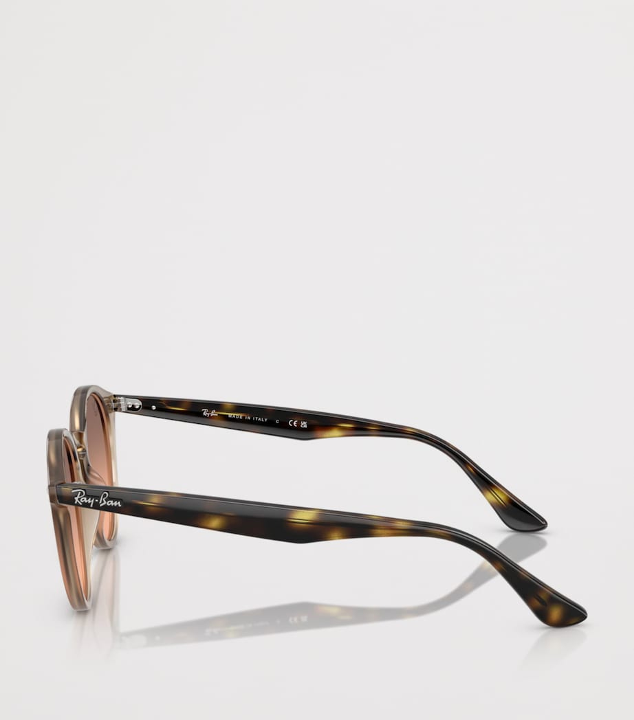 Ray-Ban Propionate Round Sunglasses Beige Image 3
