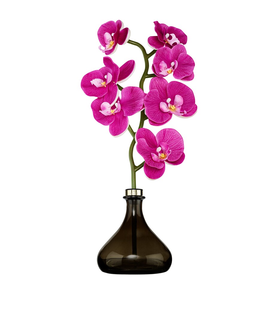 The Orchid White Flowers Diffuser (250ml) BRONZE Image 1