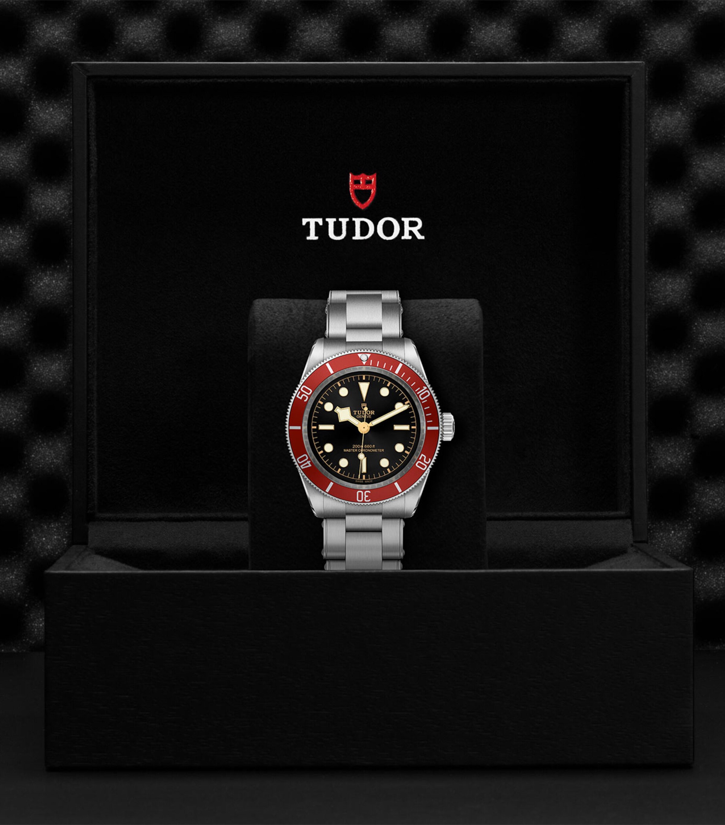 Stainless Steel Black Bay Watch 41mm BLACK Image 5