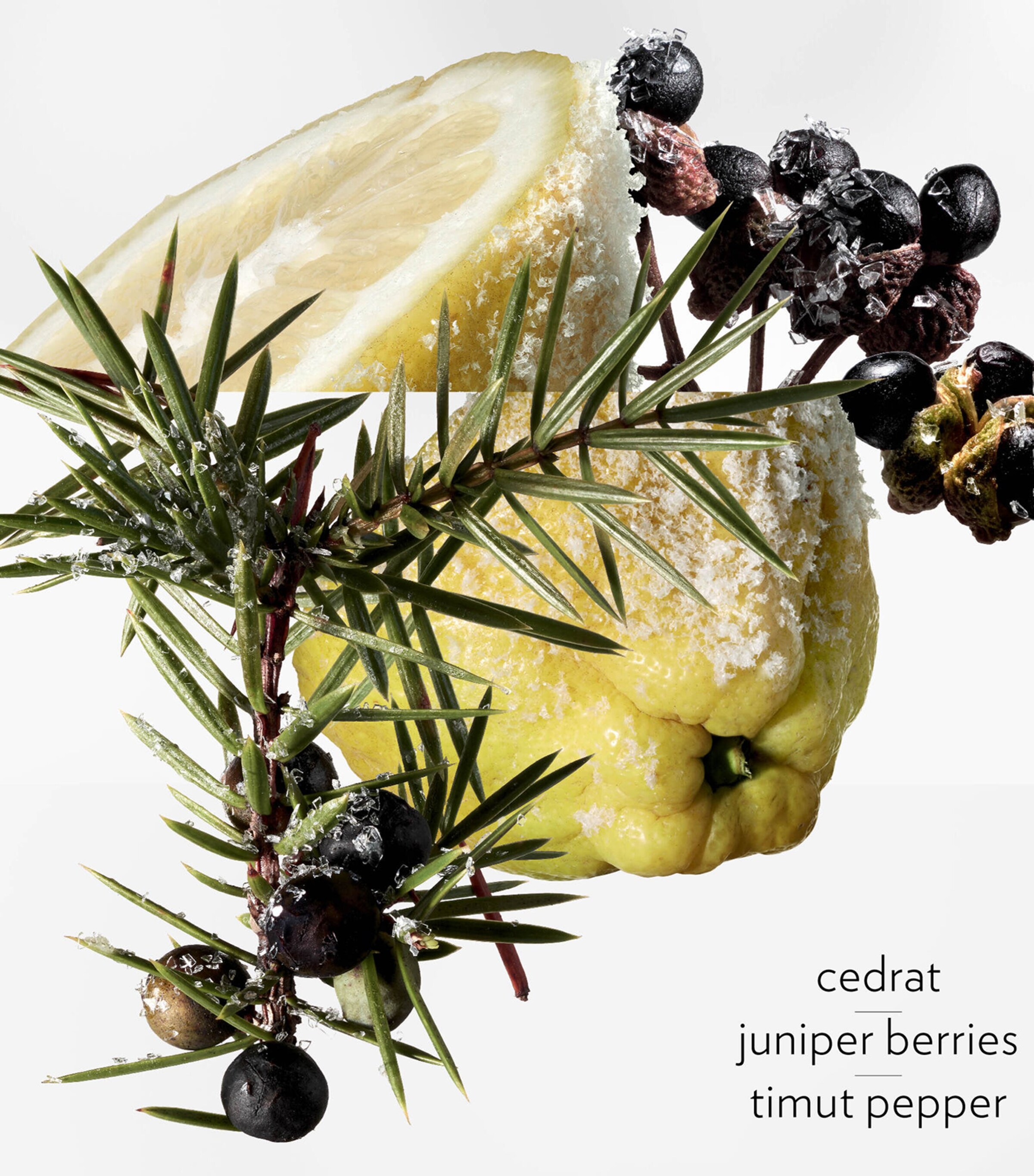 Terre d’Hermès Eau Givrée Eau de Parfum Refill (125ml) NO COLOUR Image 5