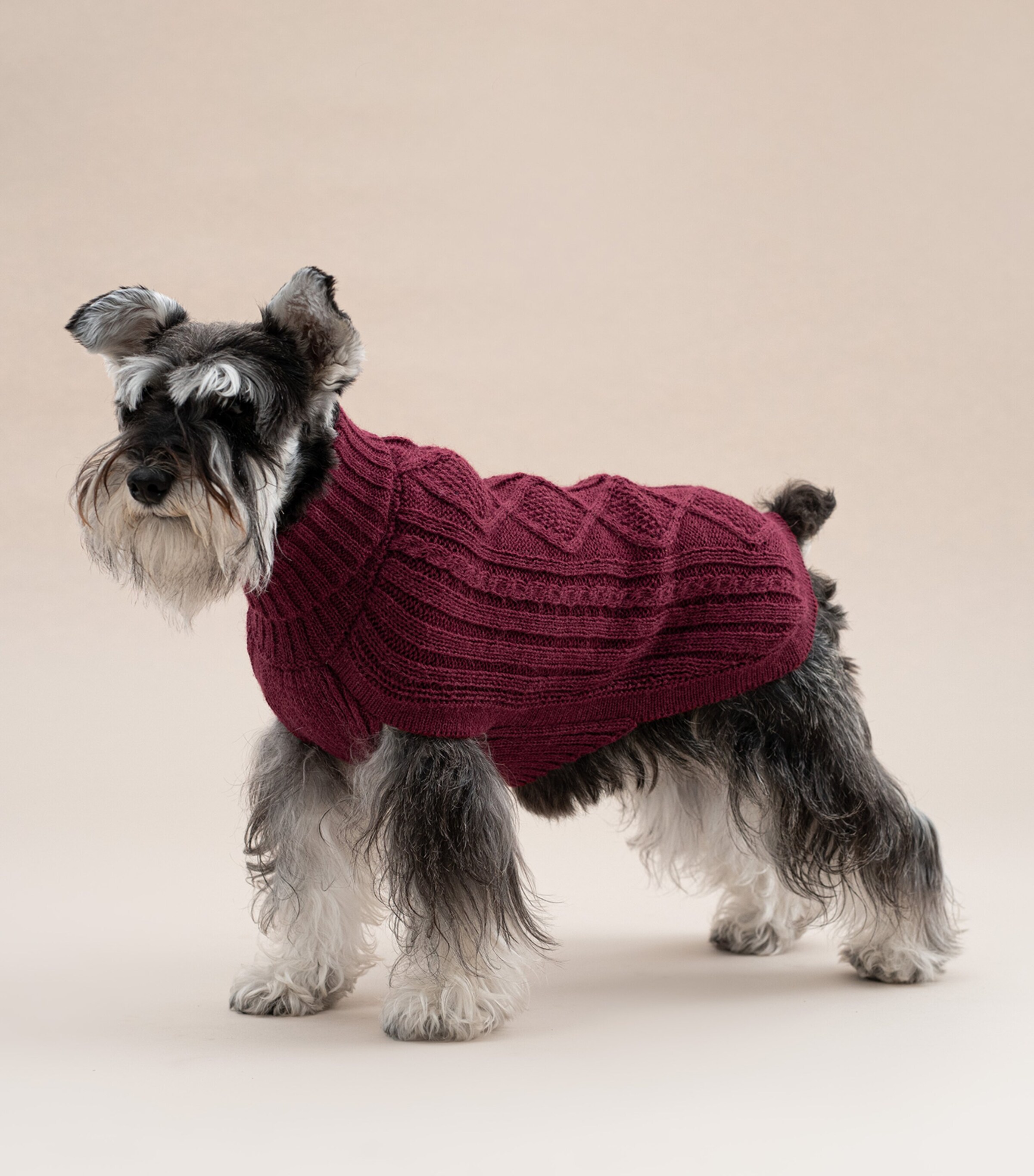 ALQO WASI Alpaca-Blend Aran Knit Dog Sweater (XX-Small) Red Wine Image 4