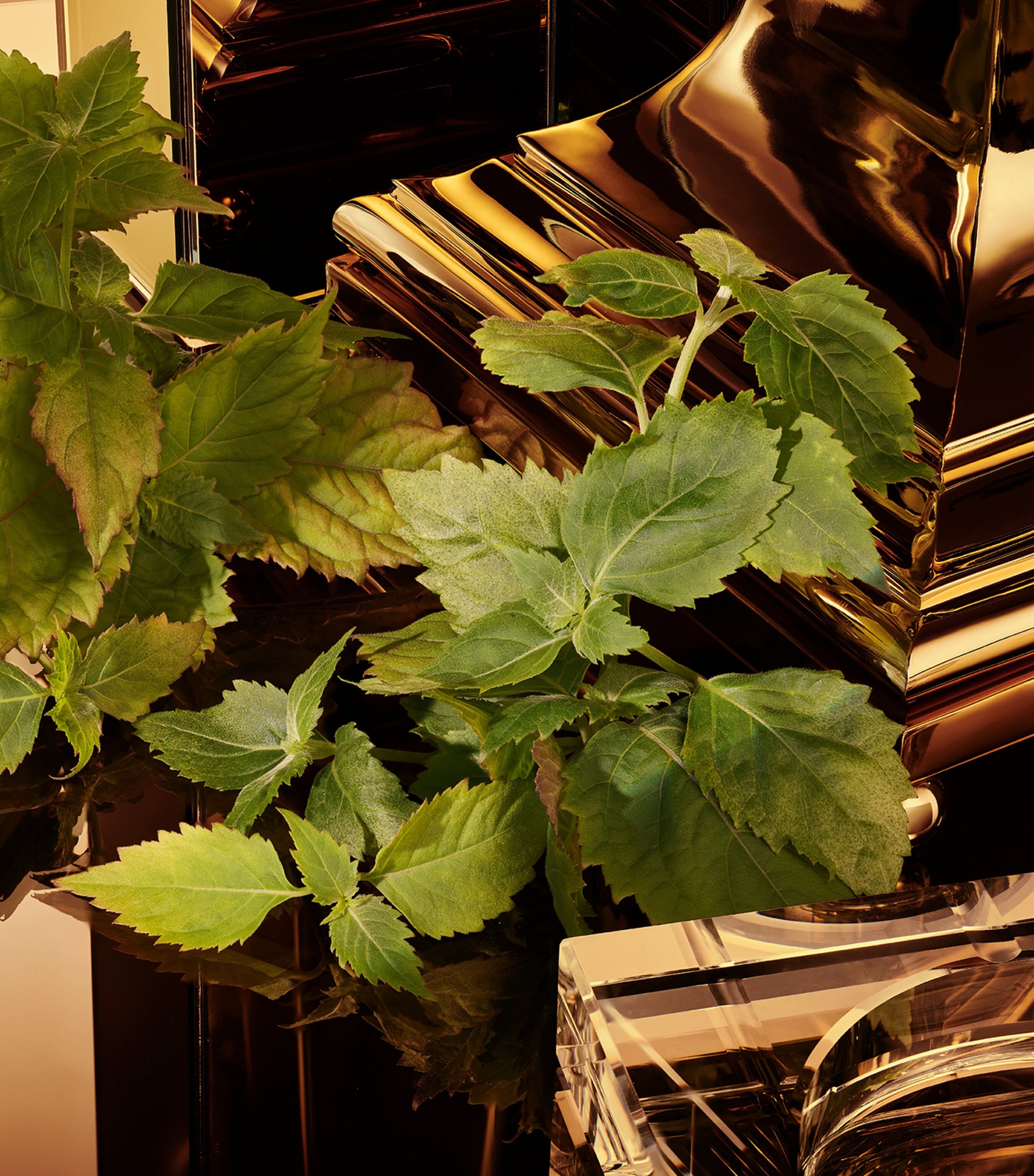 The One Gold For Men Eau de Parfum Intense (50ml) NO COLOUR Image 6