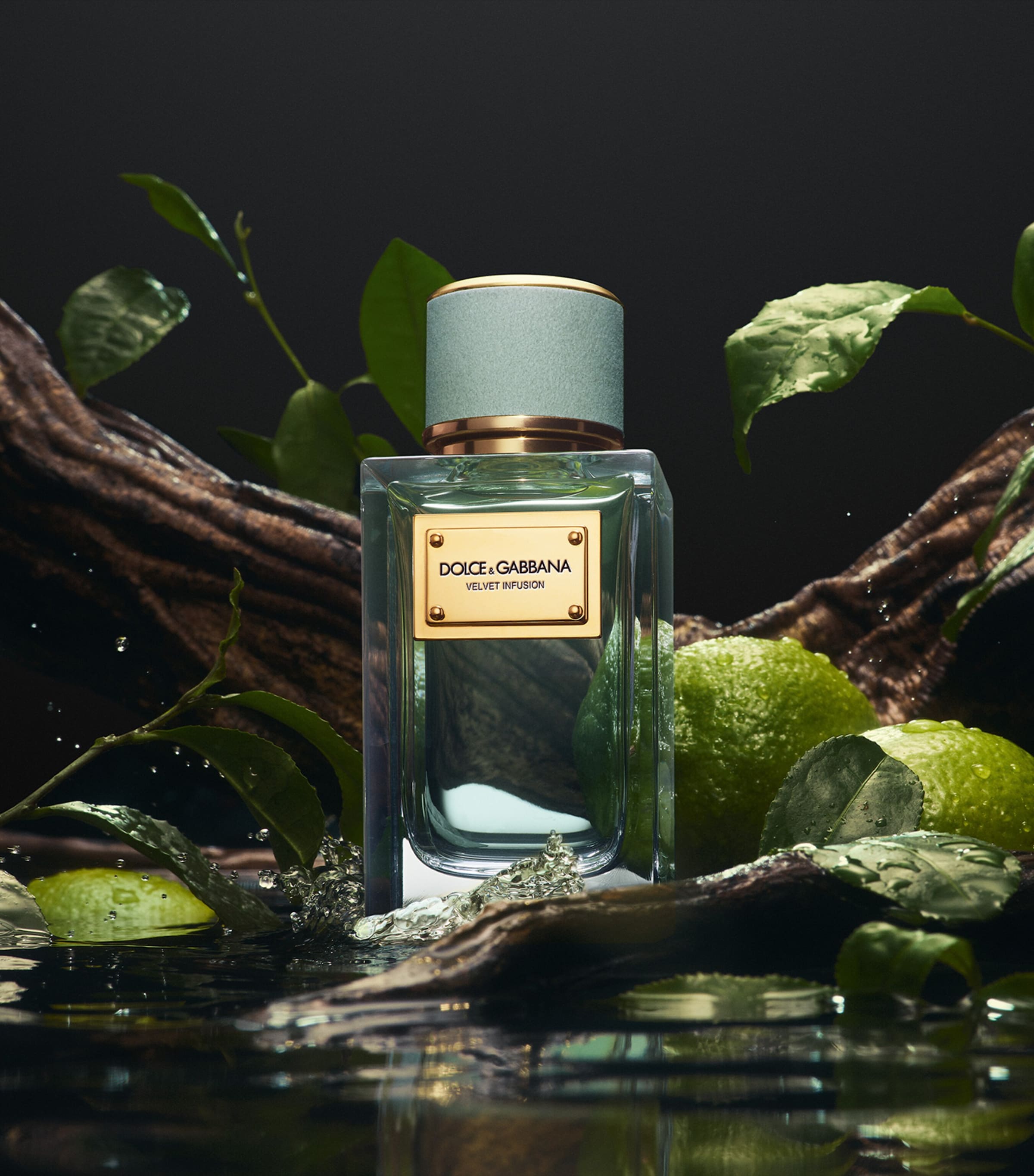 Velvet Infusion Eau de Parfum (100ml) NO COLOUR Image 6