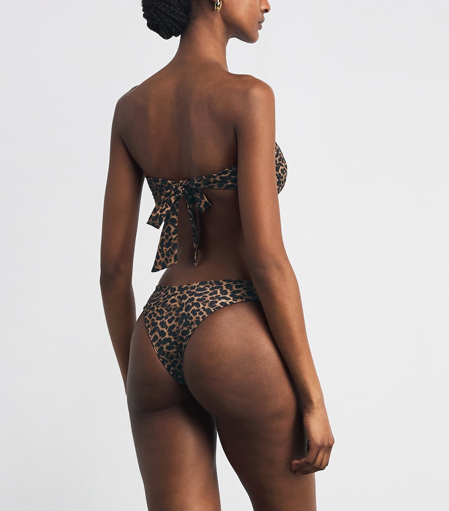 AWAY THAT DAY Womens Leopard Print Fiji Bikini Briefs Leopard Print Image 3