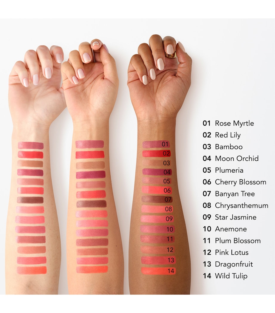 Chantecaille Lip Crème Lipstick Bamboo Image 4