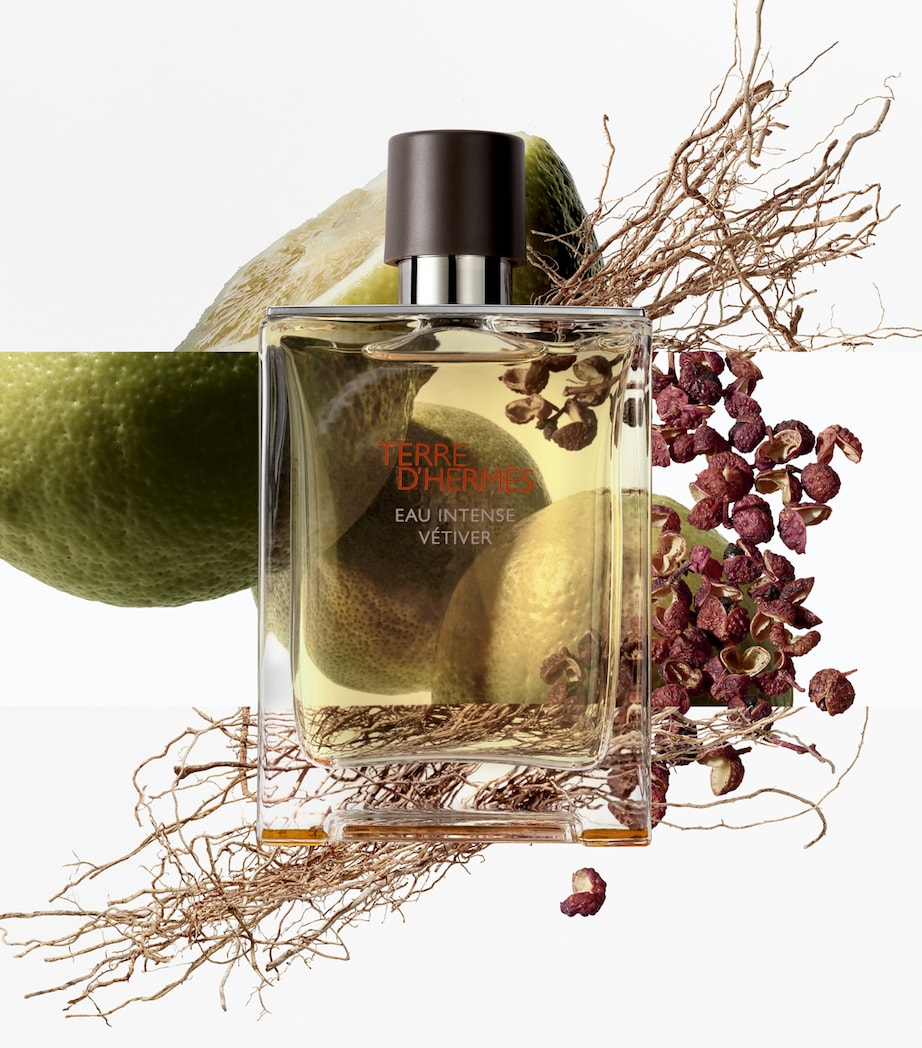 HERMÈS Terre D'Hermès Eau Intense Vétiver Eau de Parfum (50Ml) Image 6