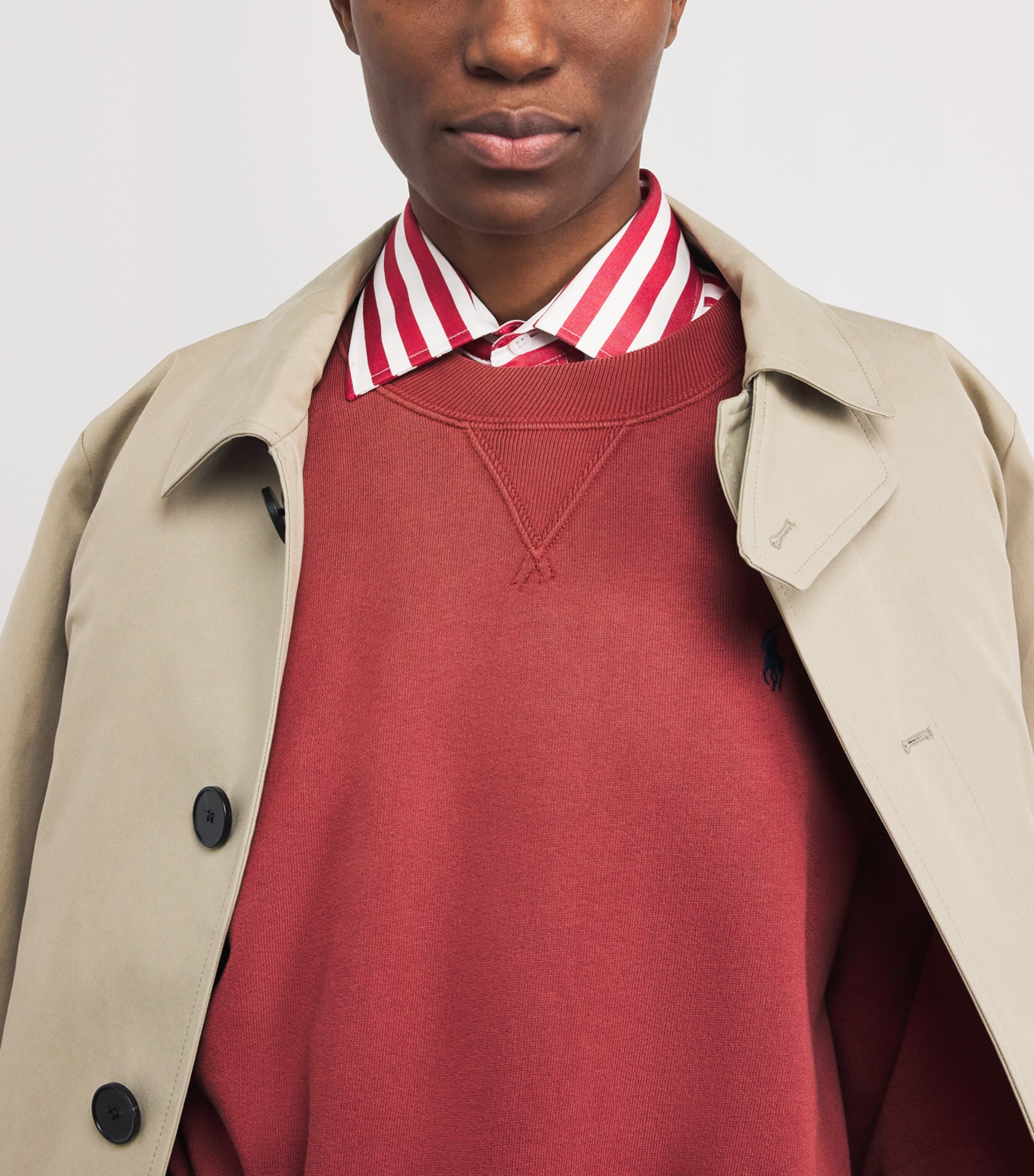 Cotton-Blend Polo Pony Sweatshirt RED SNAPPER Image 6