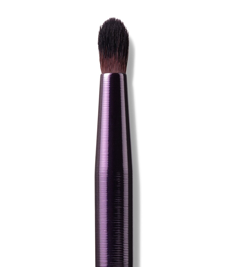 By Terry Eye Blender Brush Image 2