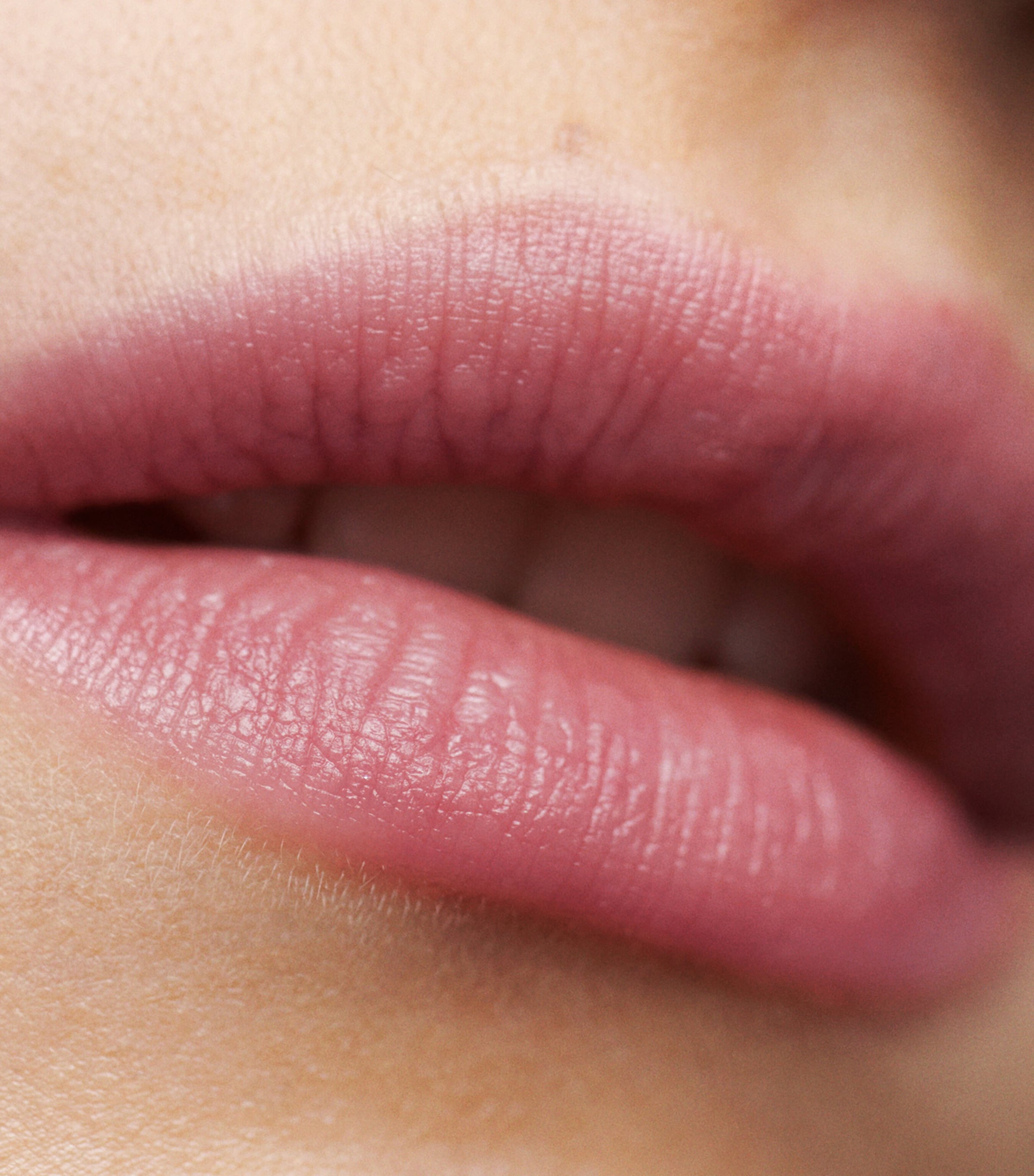 Sugar Lip Treatment PETAL Image 5