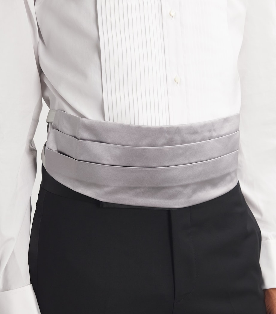Silk Cummerbund 17 Image 6