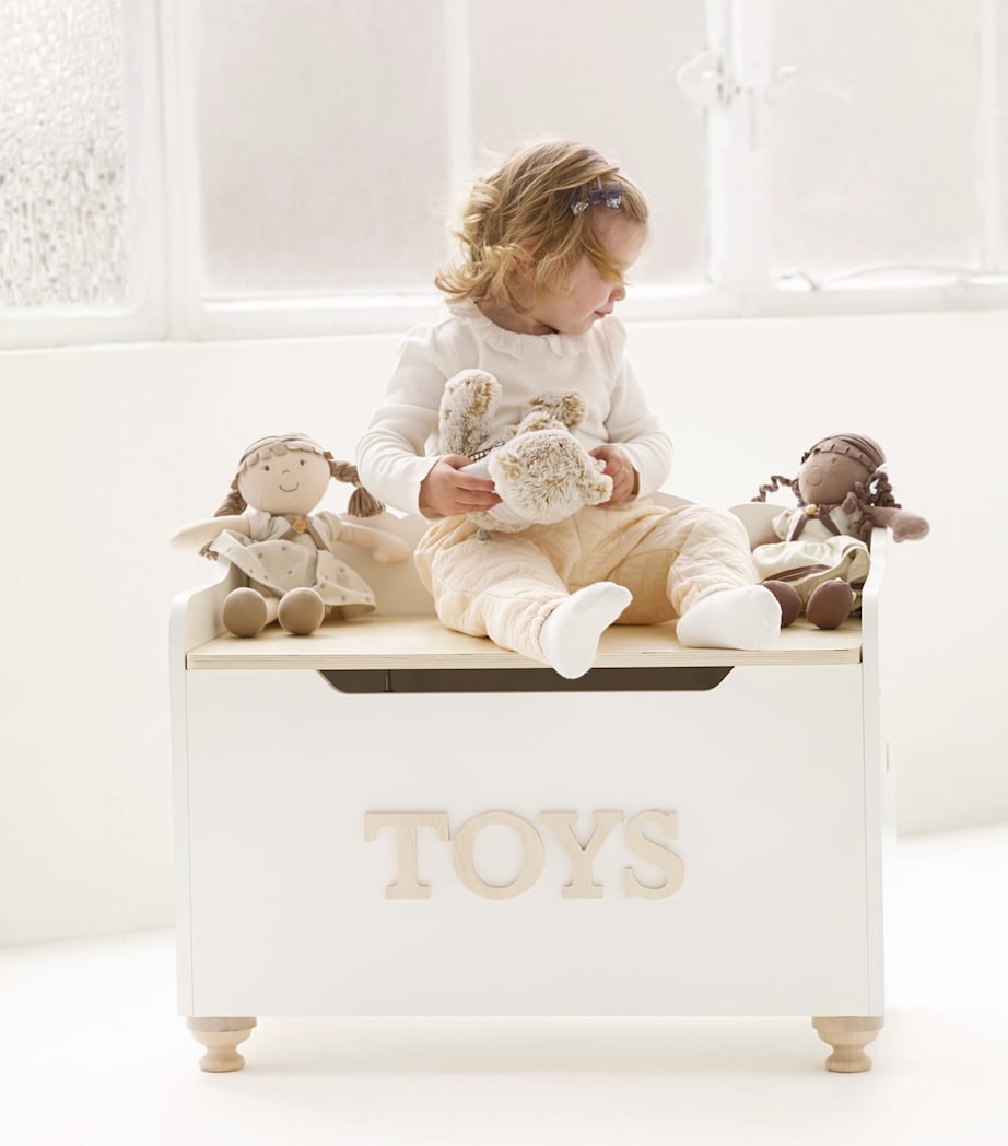 Toy Box MULTI Image 2
