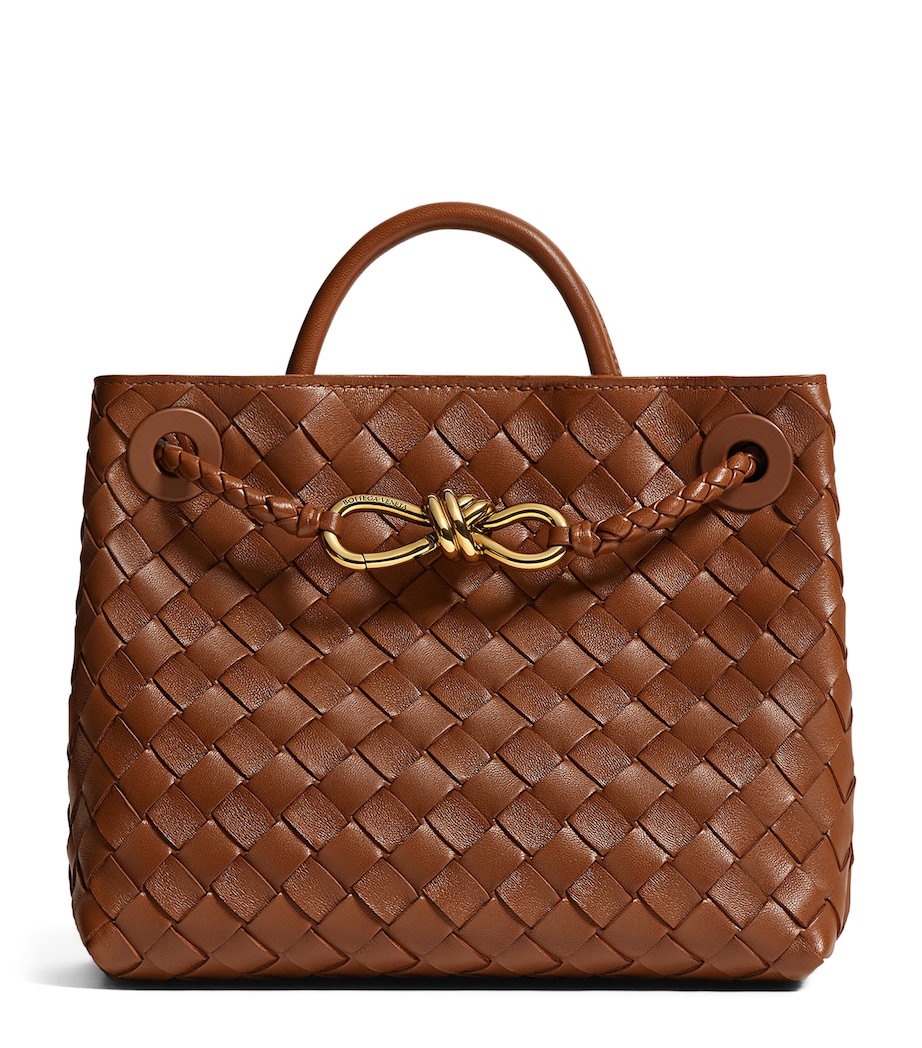 Bottega Veneta Small Leather Andiamo Top-Handle Bag Image 1