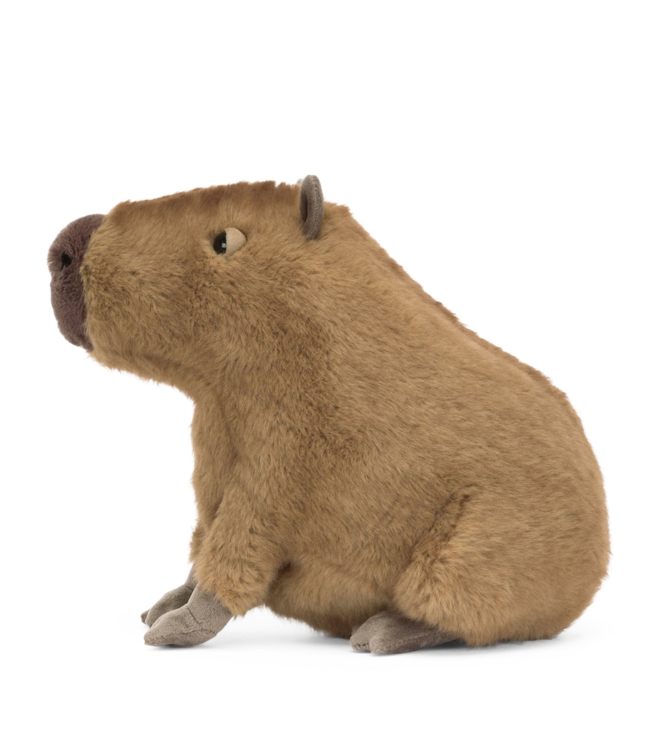 Clyde Capybara (21cm) MULTI Image 3
