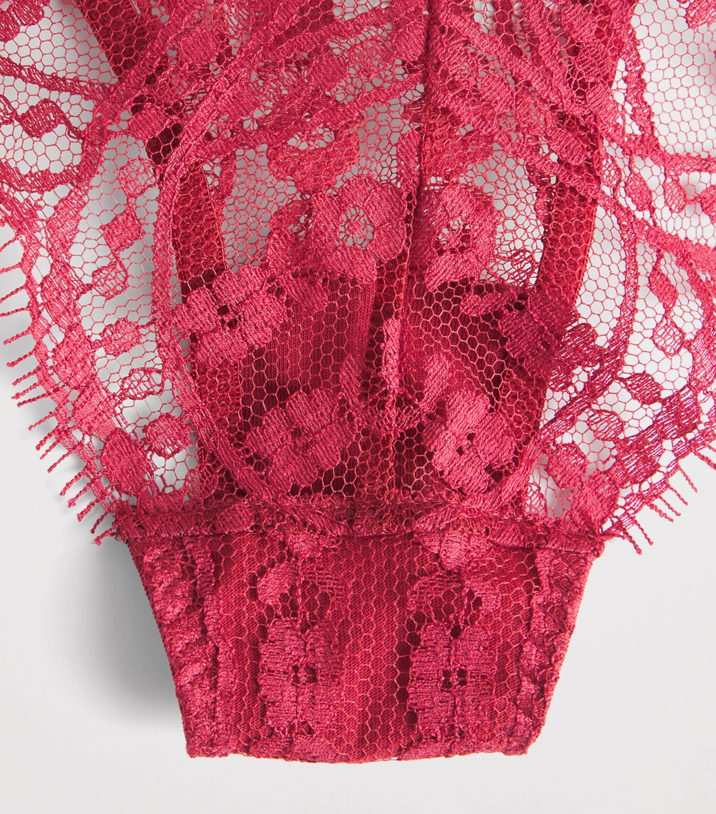 Coco De Mer Womens Lace Renata Brazilian Briefs Ruby Image 4