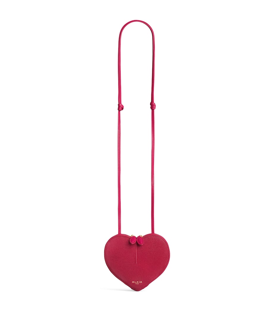 Mini Suede Le Coeur Shoulder Bag OR Image 1