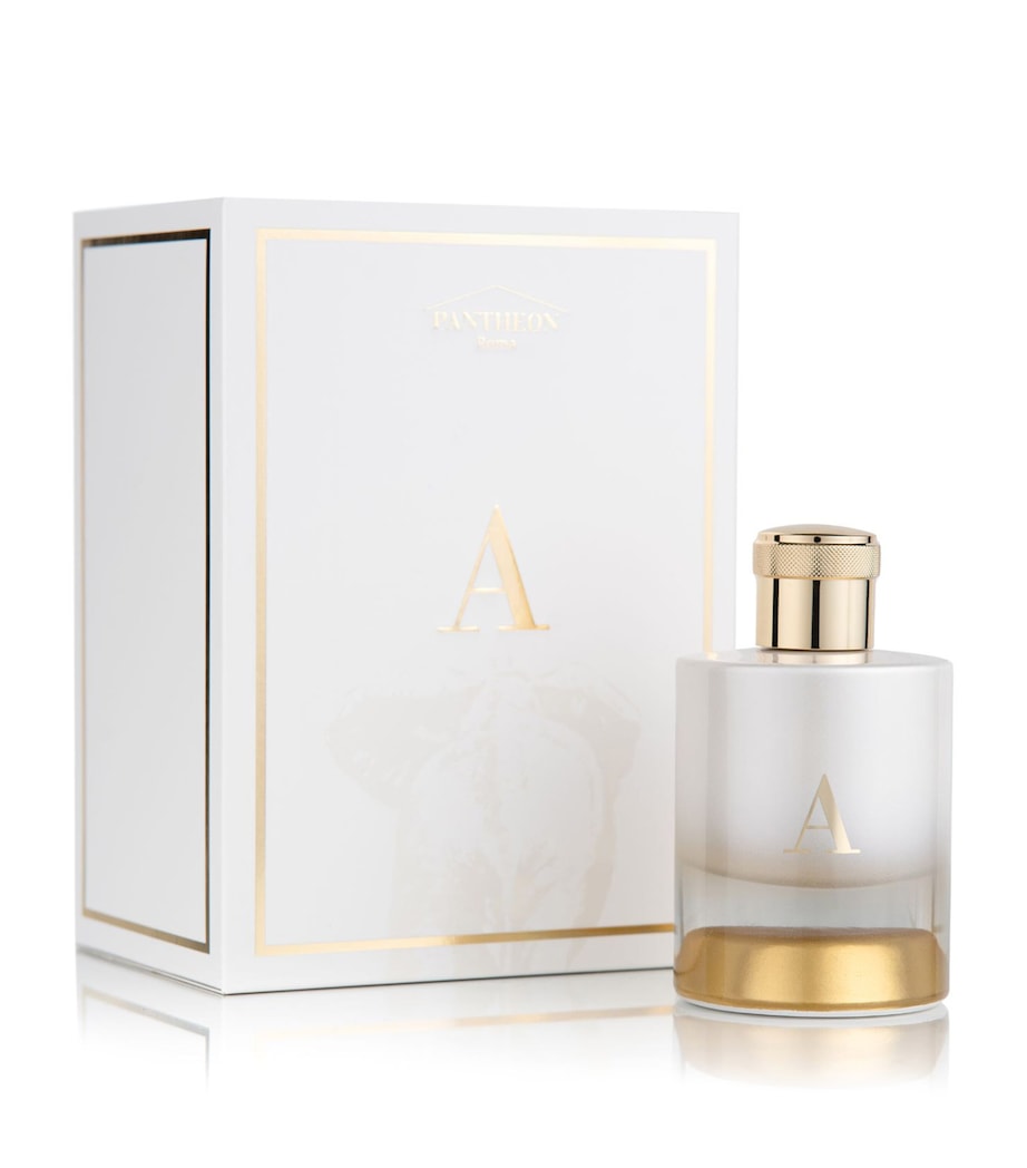 A Extrait de Parfum (100ml) NO COLOUR Image 2