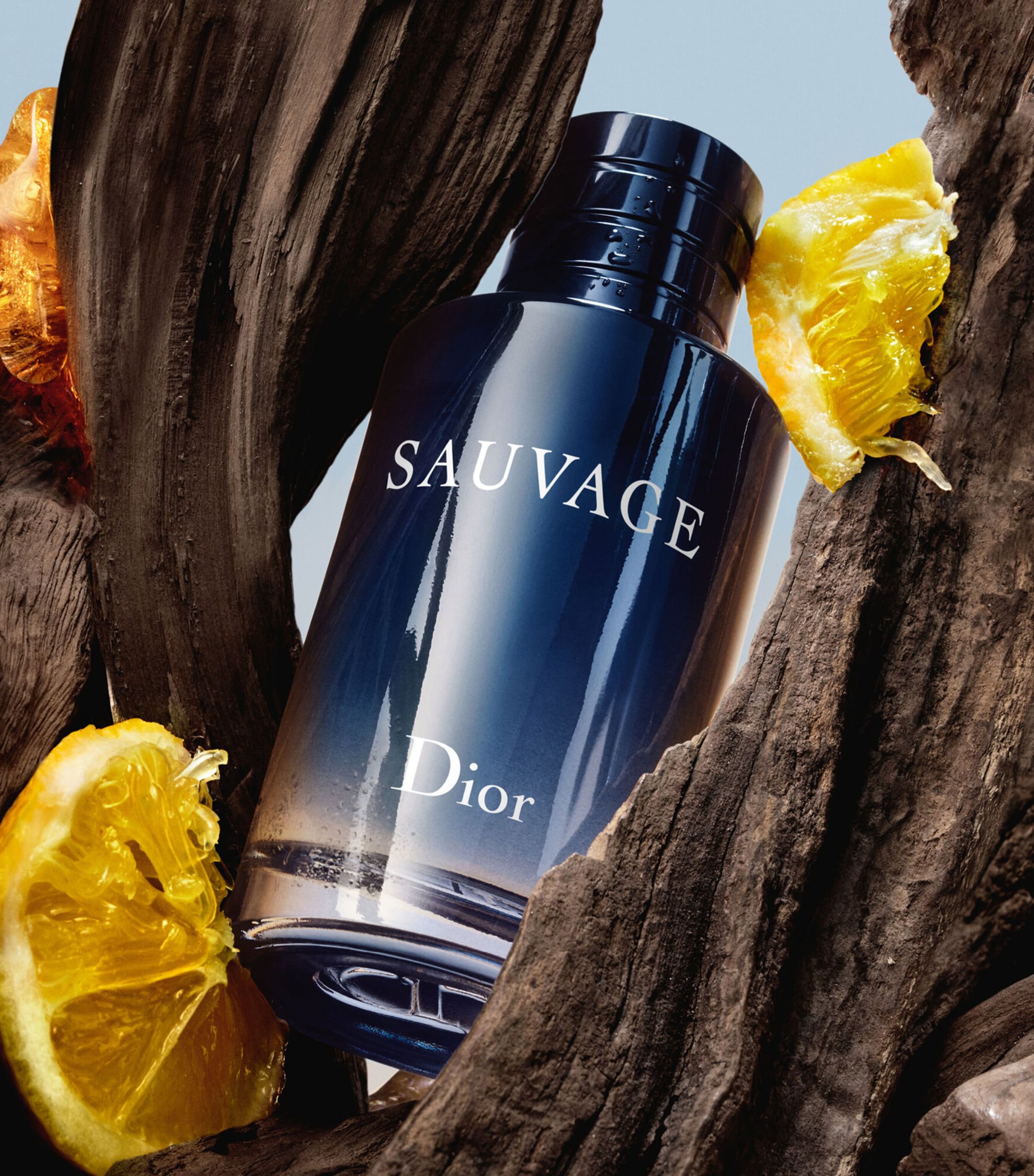 DIOR Sauvage Eau de Toilette (200ml) | Harrods US