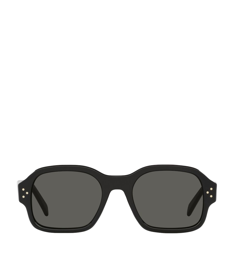 Celine Acetate 0CL000410 Sunglasses Image 1