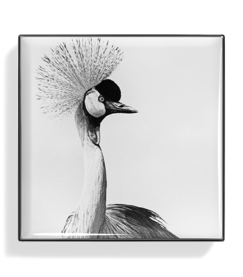 Luminescent Eye Shade CRANE Image 2