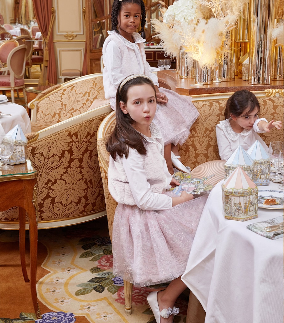 Tulle Sparkle Skirt TOILE DE JOUY Image 4