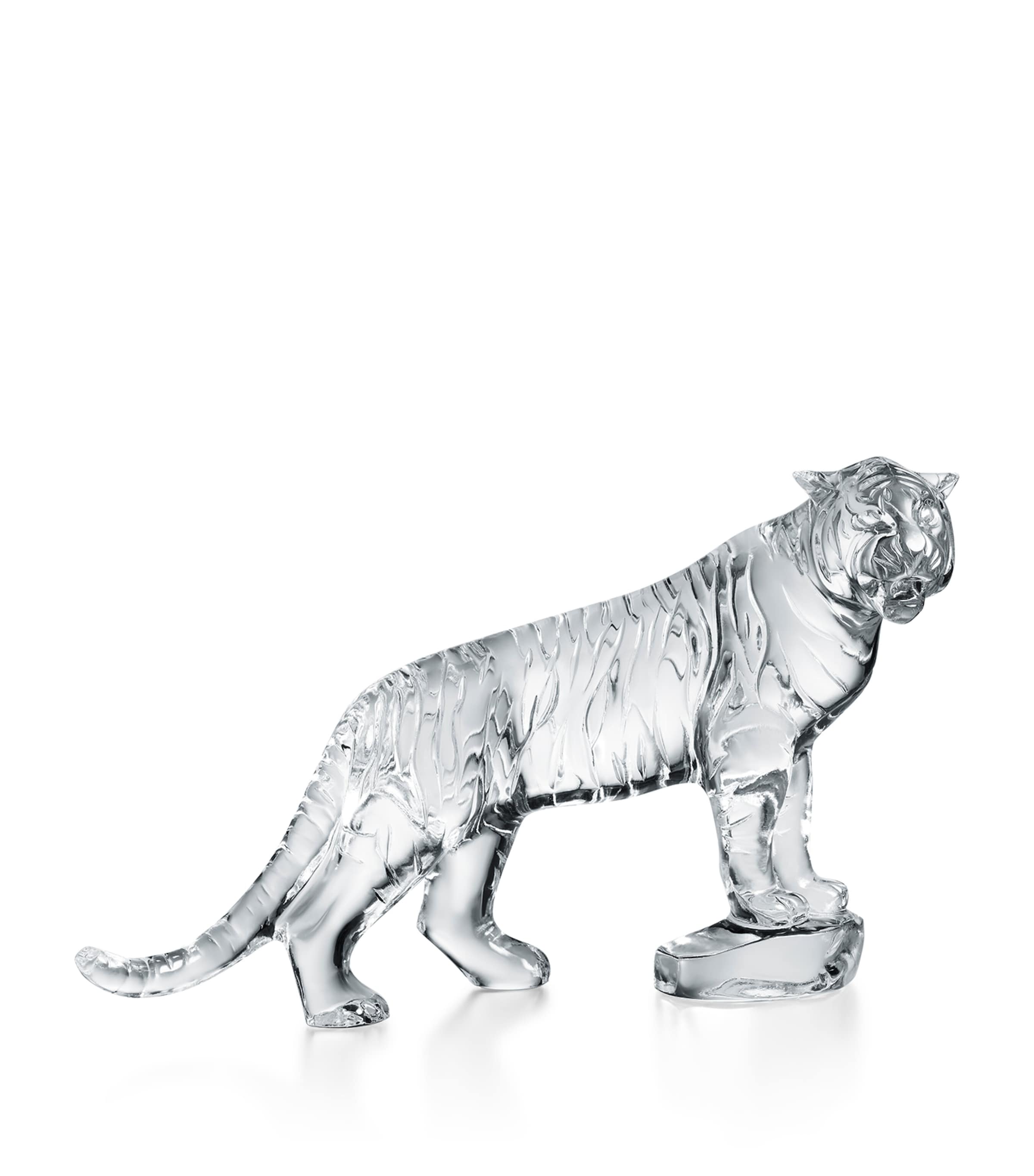 Tigre Roaring Bengal Tiger Decoration CLEAR Image 2