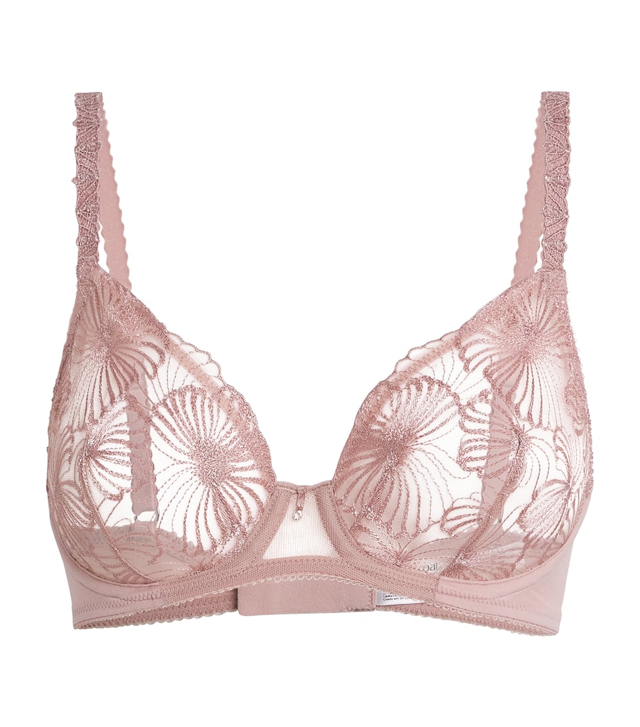 Lace Cateline Plunge Bra ASP ASPEN ROSE Image 1
