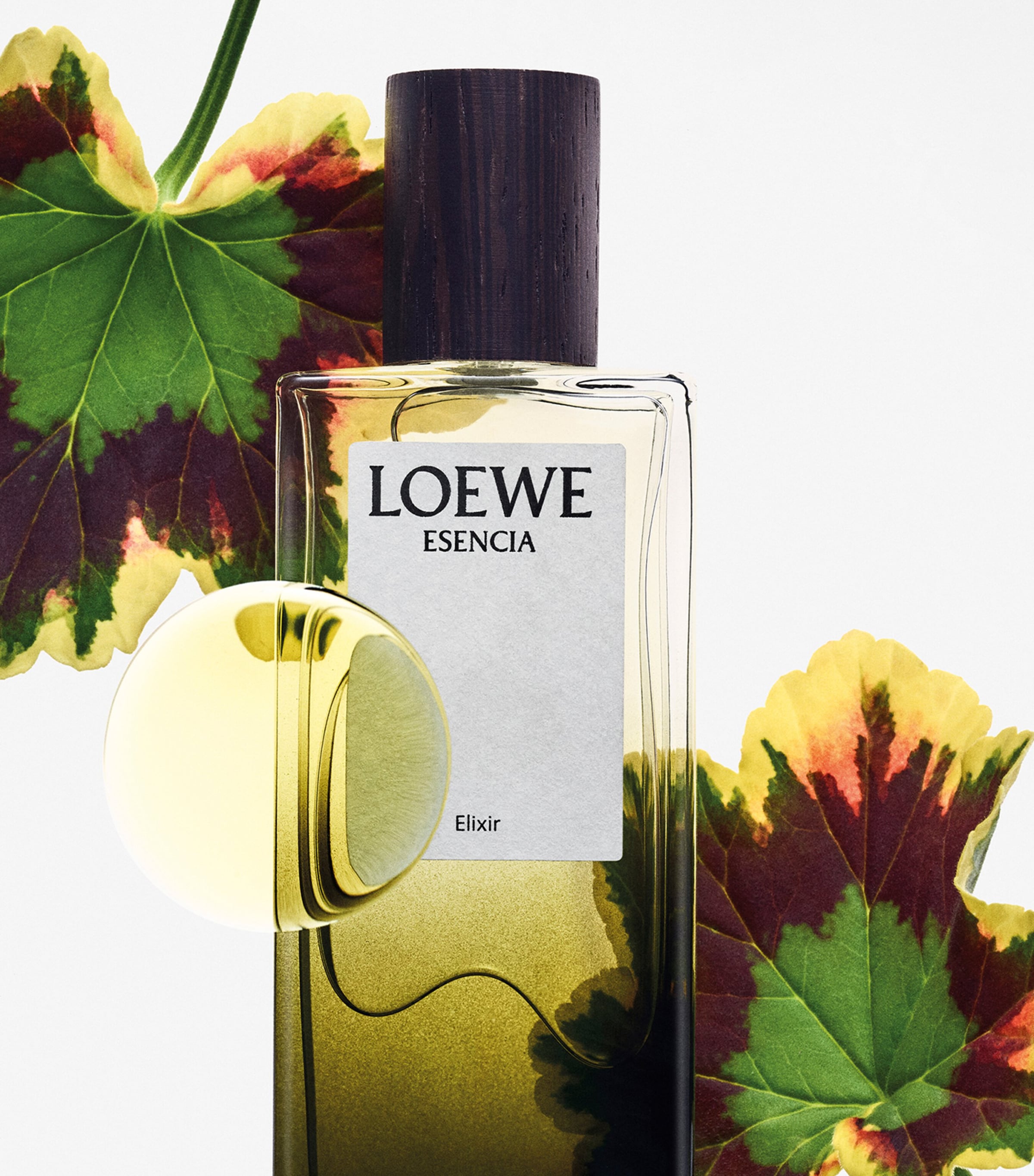 LOEWE Esencia Elixir Eau de Parfum (100ml) | Harrods US