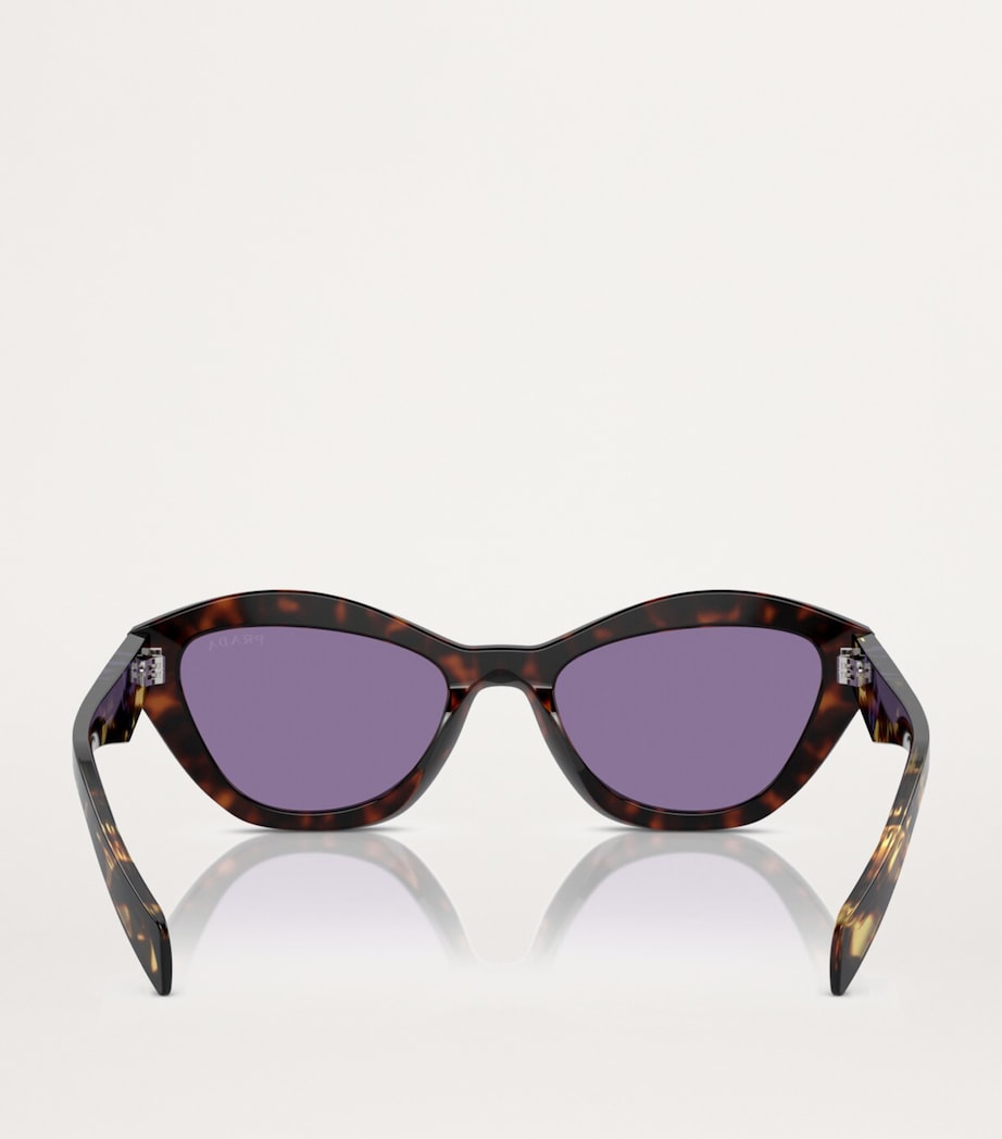 Tortoiseshell Cat-Eye Sunglasses 17N50B Image 4