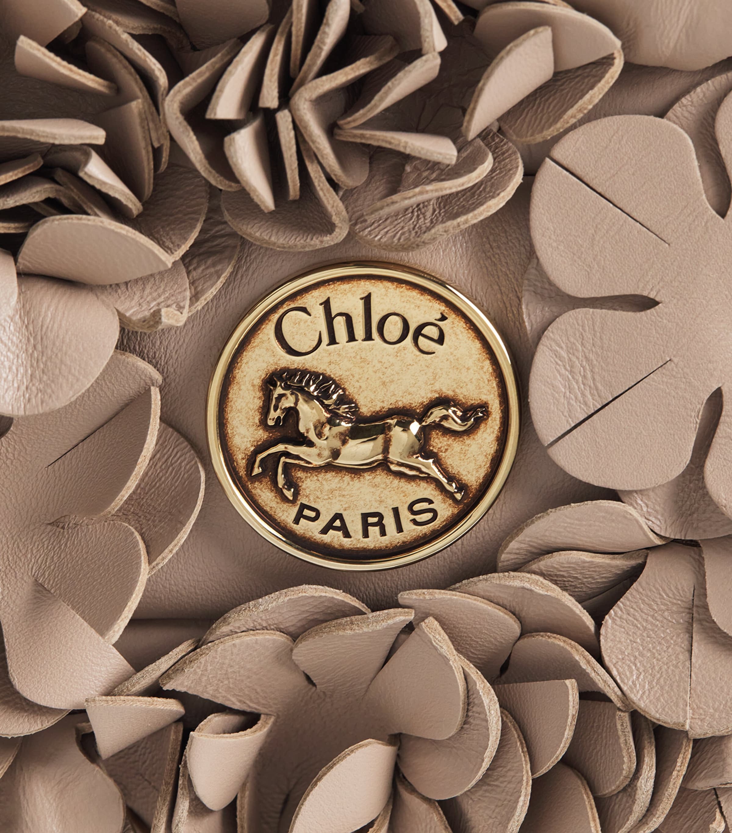 Chloé Lambskin Plissé Shoulder Bag Woodsmoke Image 3