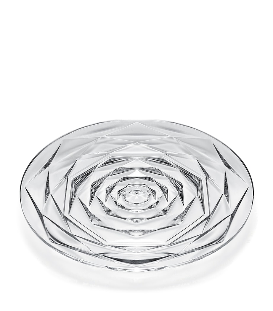 Swing Plate (18cm) CLEAR Image 1