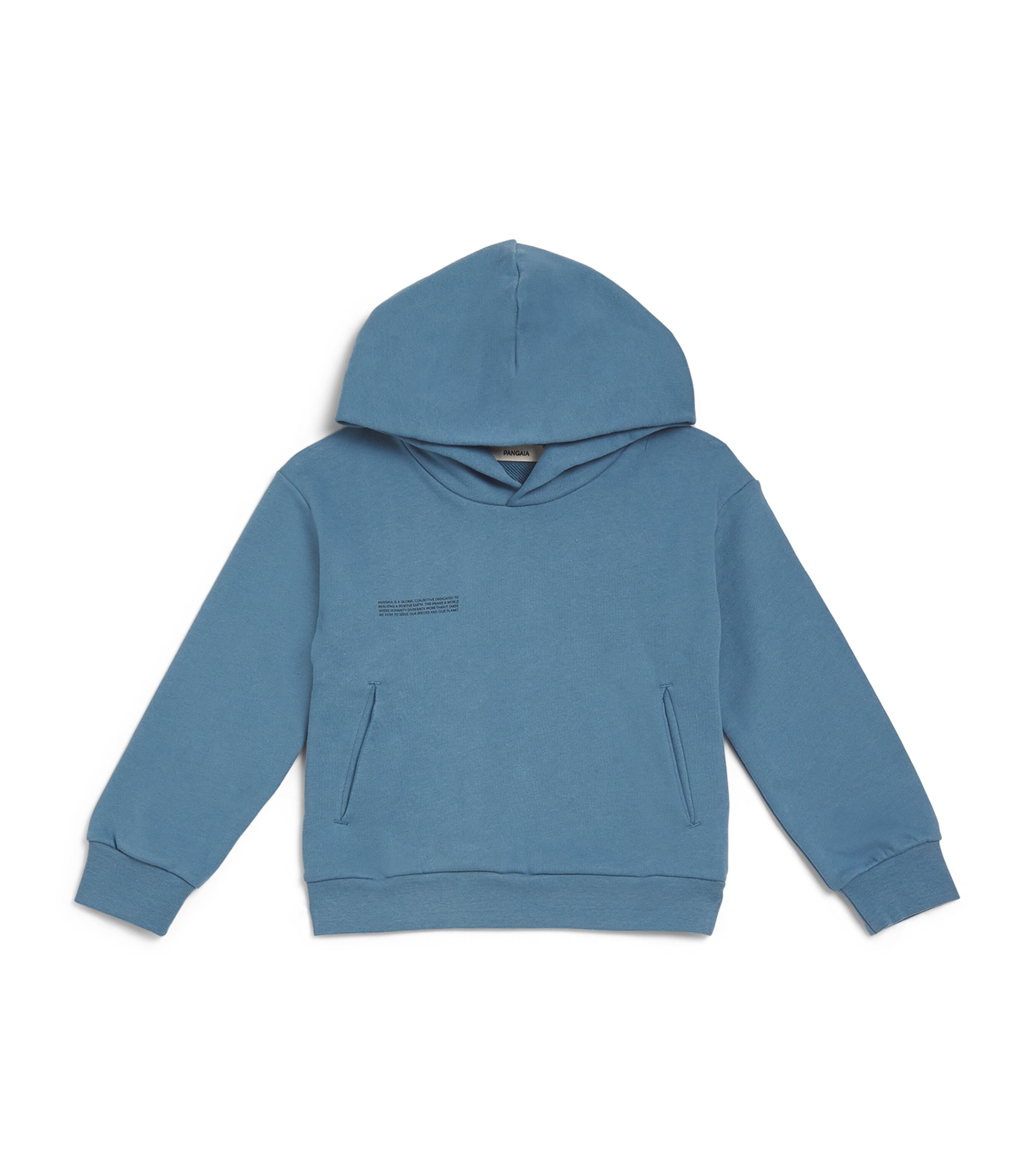 Pangaia Kids' Organic Cotton 365 Hoodie In Blue