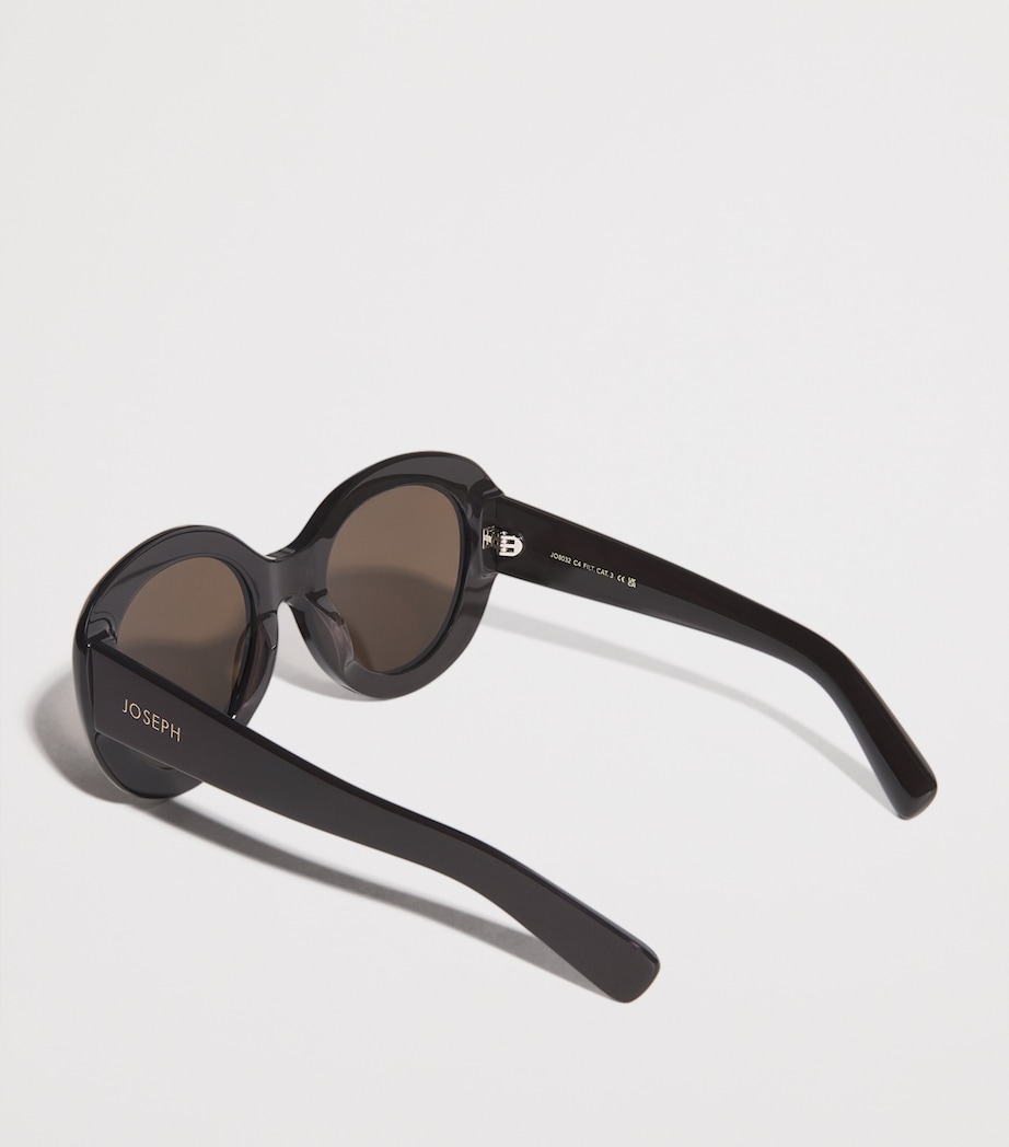 Round Sunglasses EBONY Image 3