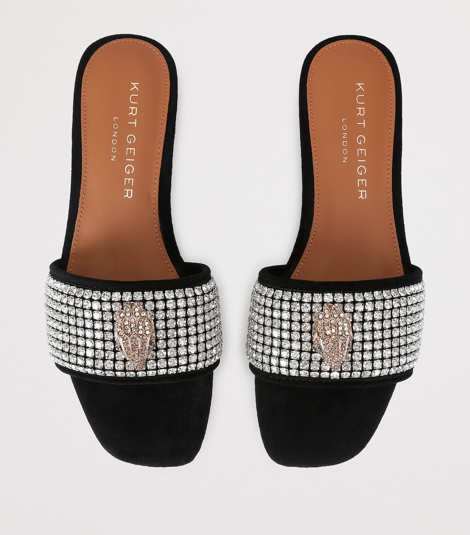 Suede Kensington Flat Sandals BLK/OTHER Image 4