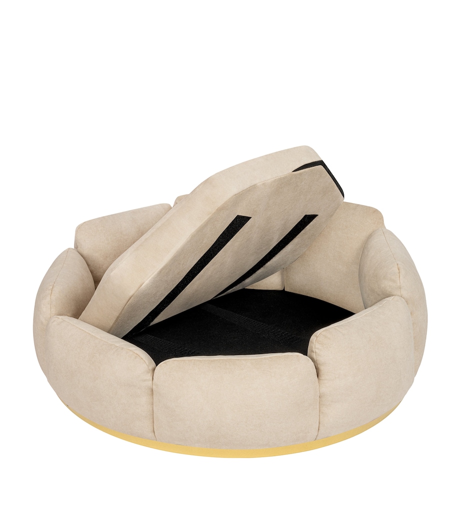 Medium Camelia Dog Sofa BEIGE+GOLD Image 4