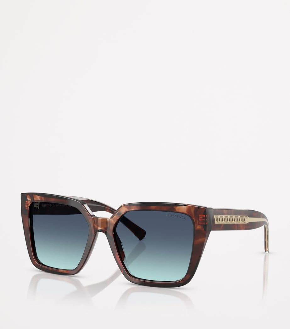Acetate Square TF4235 Sunglasses 84219S Image 2