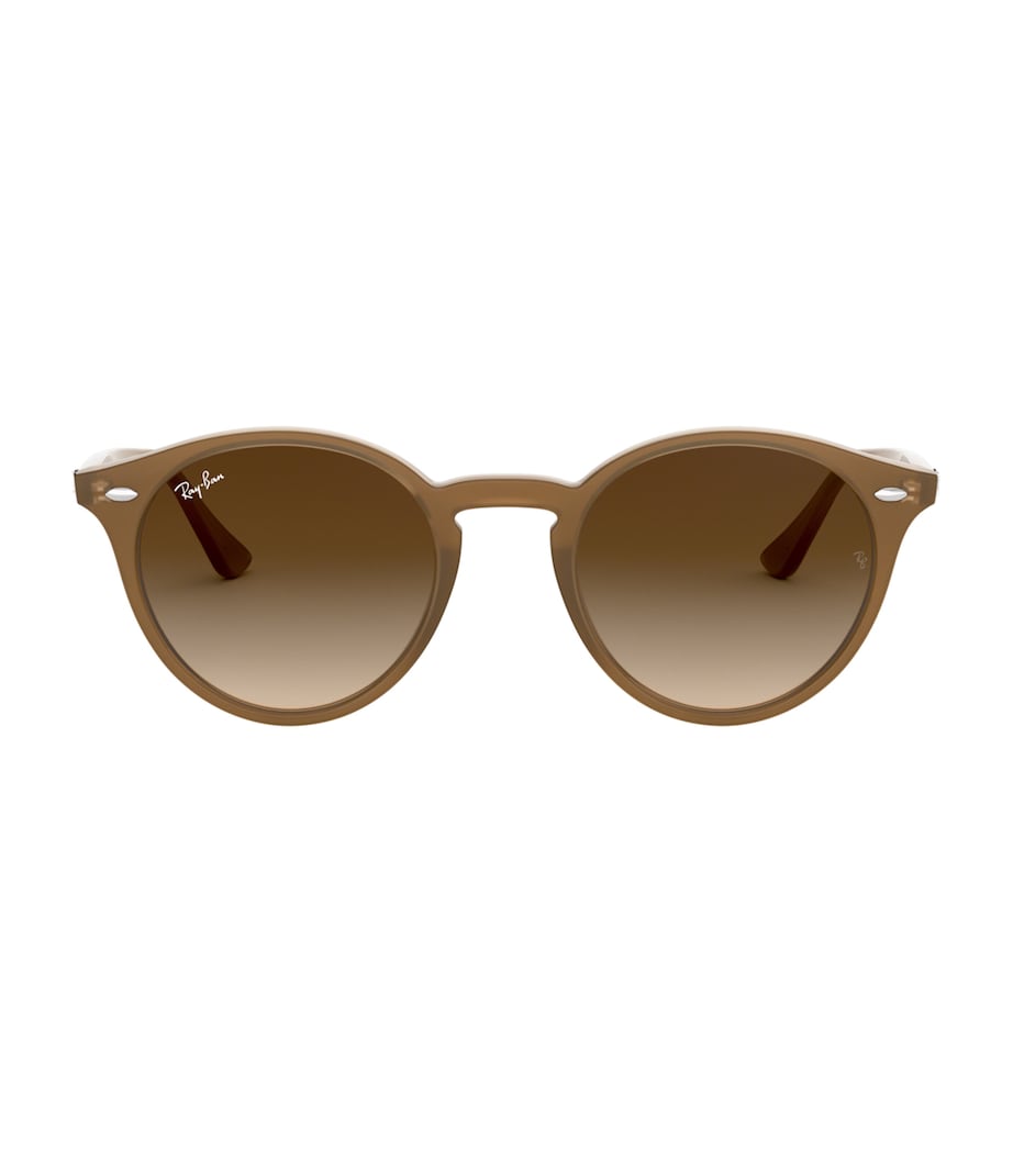RB2180 Sunglasses BROWN Image 1