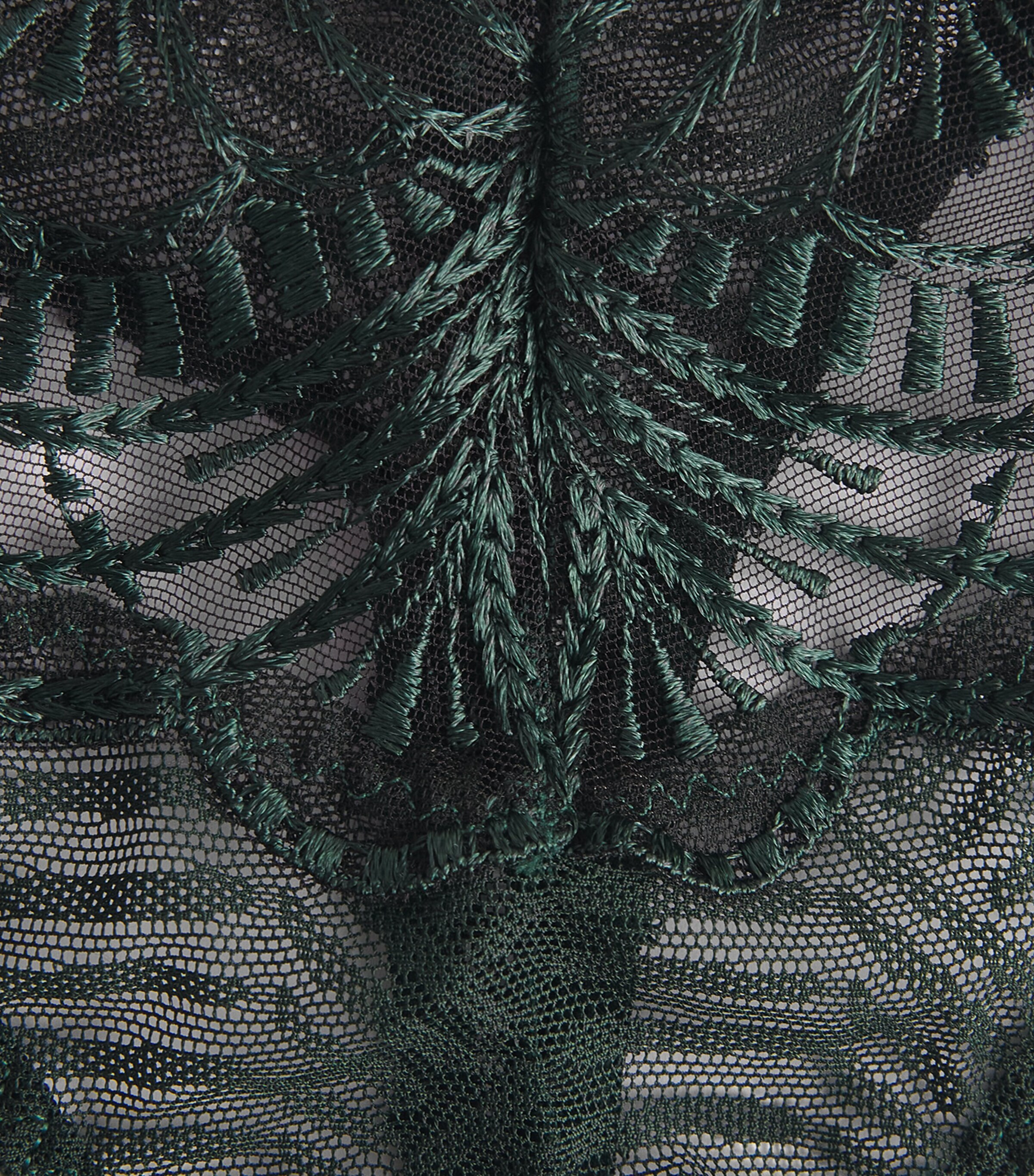 Aubade Womens Vibes Tanga Mysterious Green Image 4