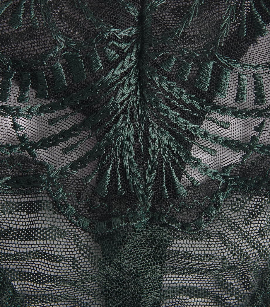 Aubade Womens Vibes Tanga Mysterious Green Image 4