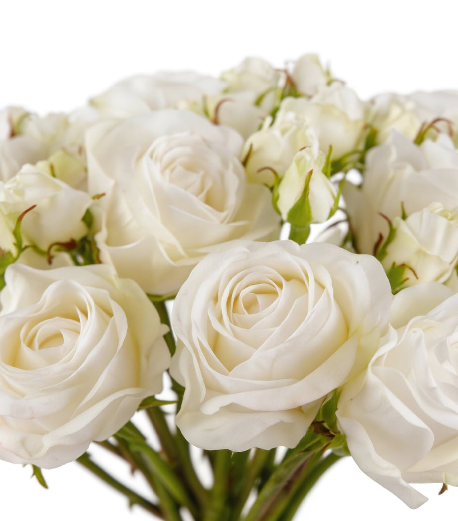 Silk-ka Artificial Rose Flower Bouquet Cream Image 4