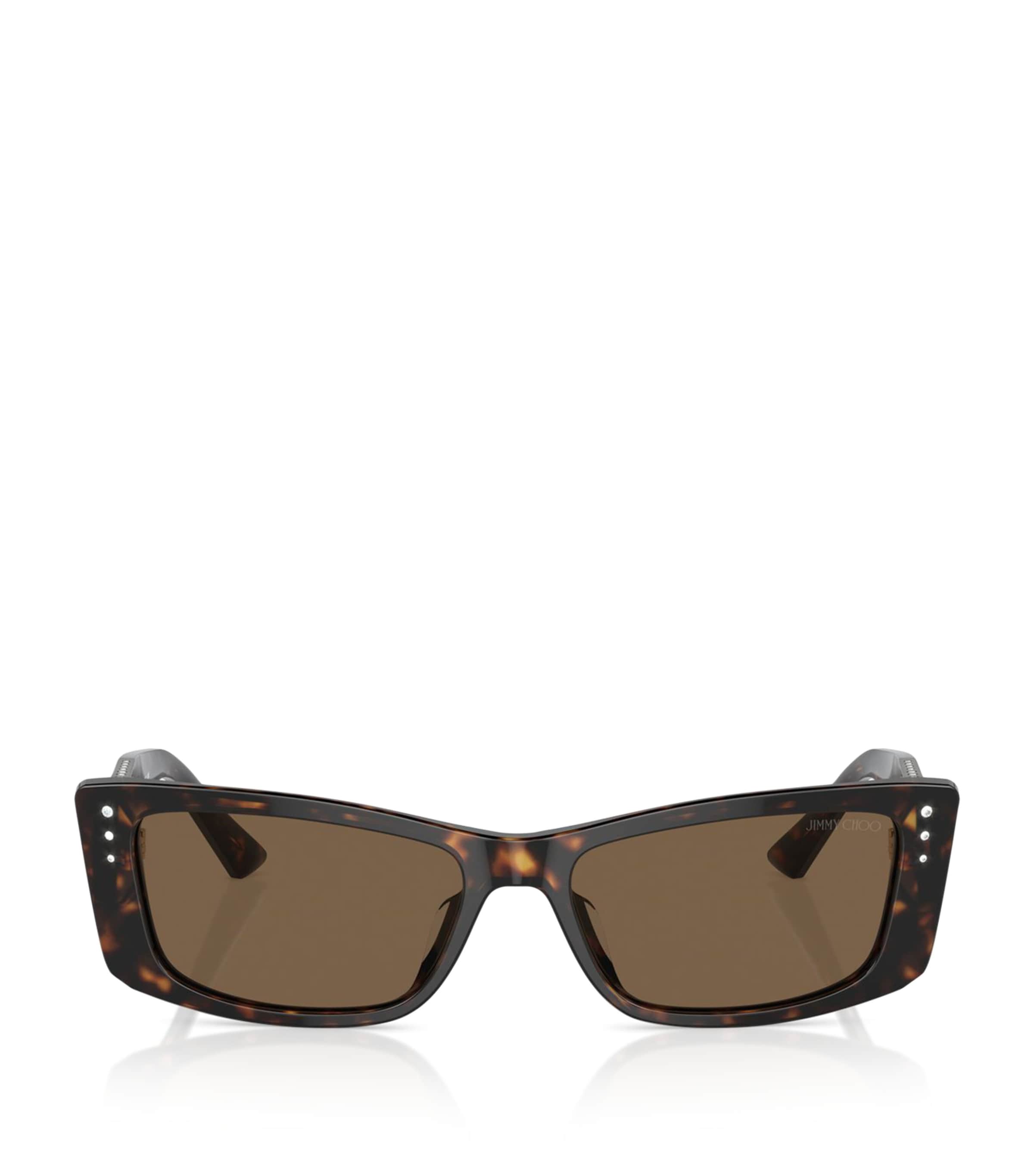 Jimmy Choo Acetate Jc5002bu Sunglasses In Brown