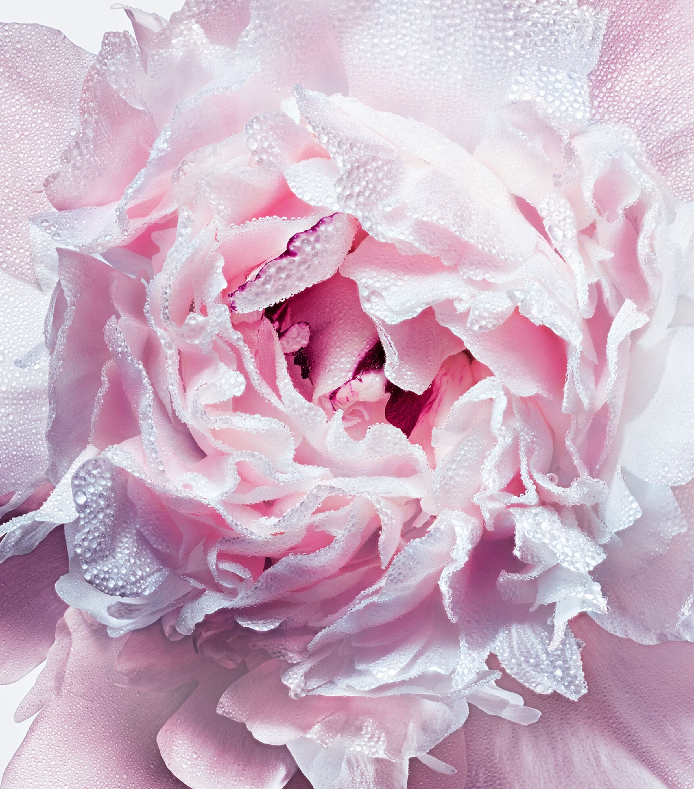 Miss Dior Deodorant (100ml) NO COLOUR Image 2