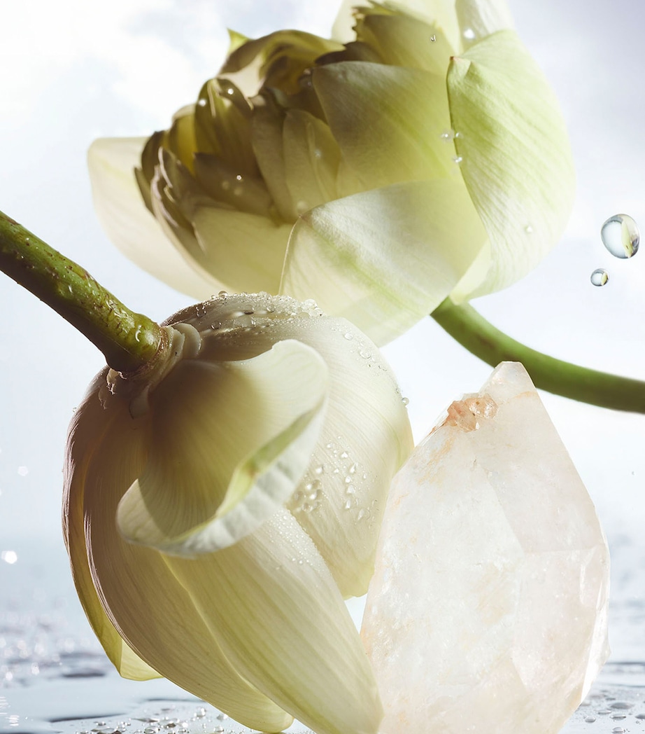 Man Rain Essence Eau de Parfum (100ml) NO COLOUR Image 5