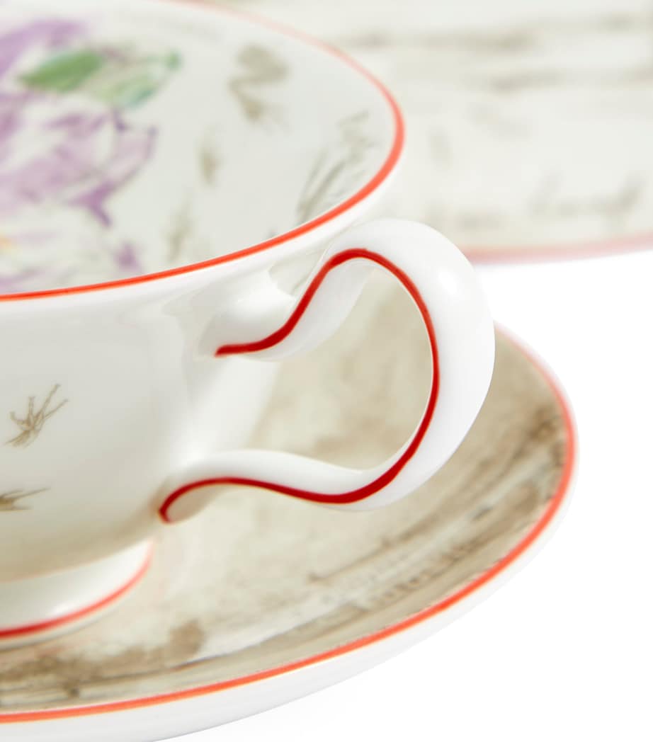 Wedgwood Voyage of the Beagle Brazil Plate, Teacup and Saucer Set Image 6