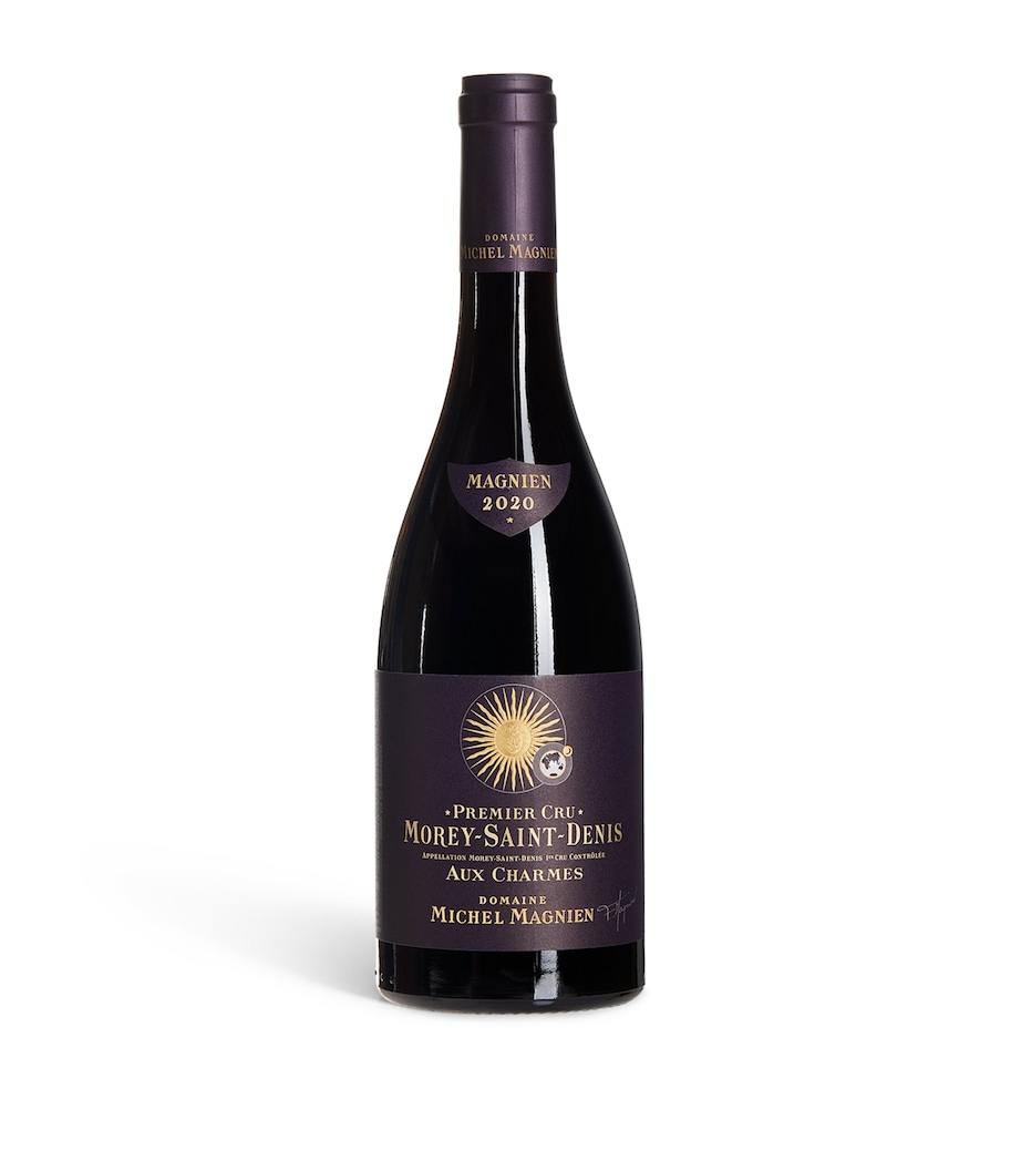 Domaine Michel Magnien Aux Charmes Pinot Noir 2020 (75cl) - Burgundy, France Image 1