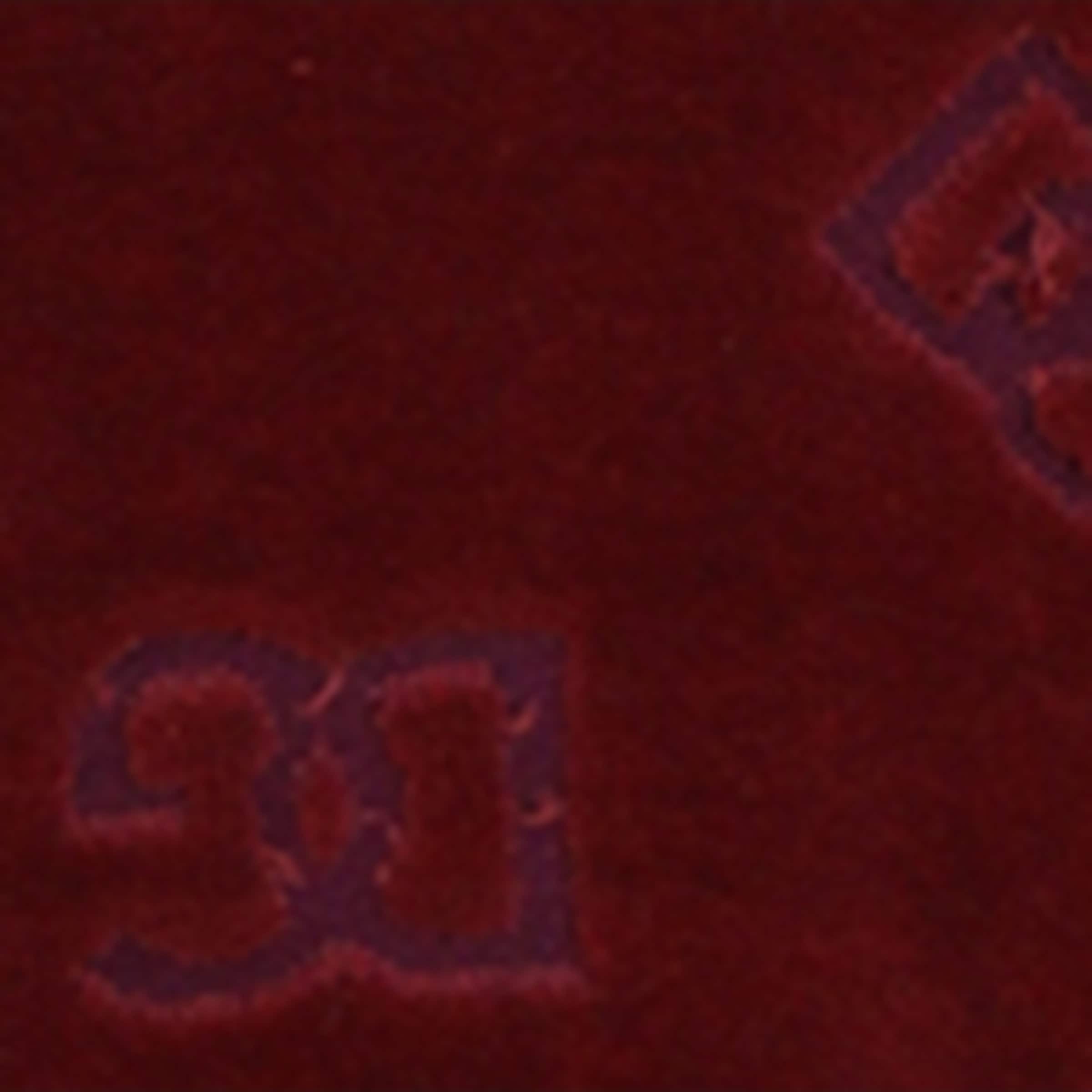 Dolce&Gabbana Kids Logo Jacquard Cardigan (8-12+ Years) — foto 5