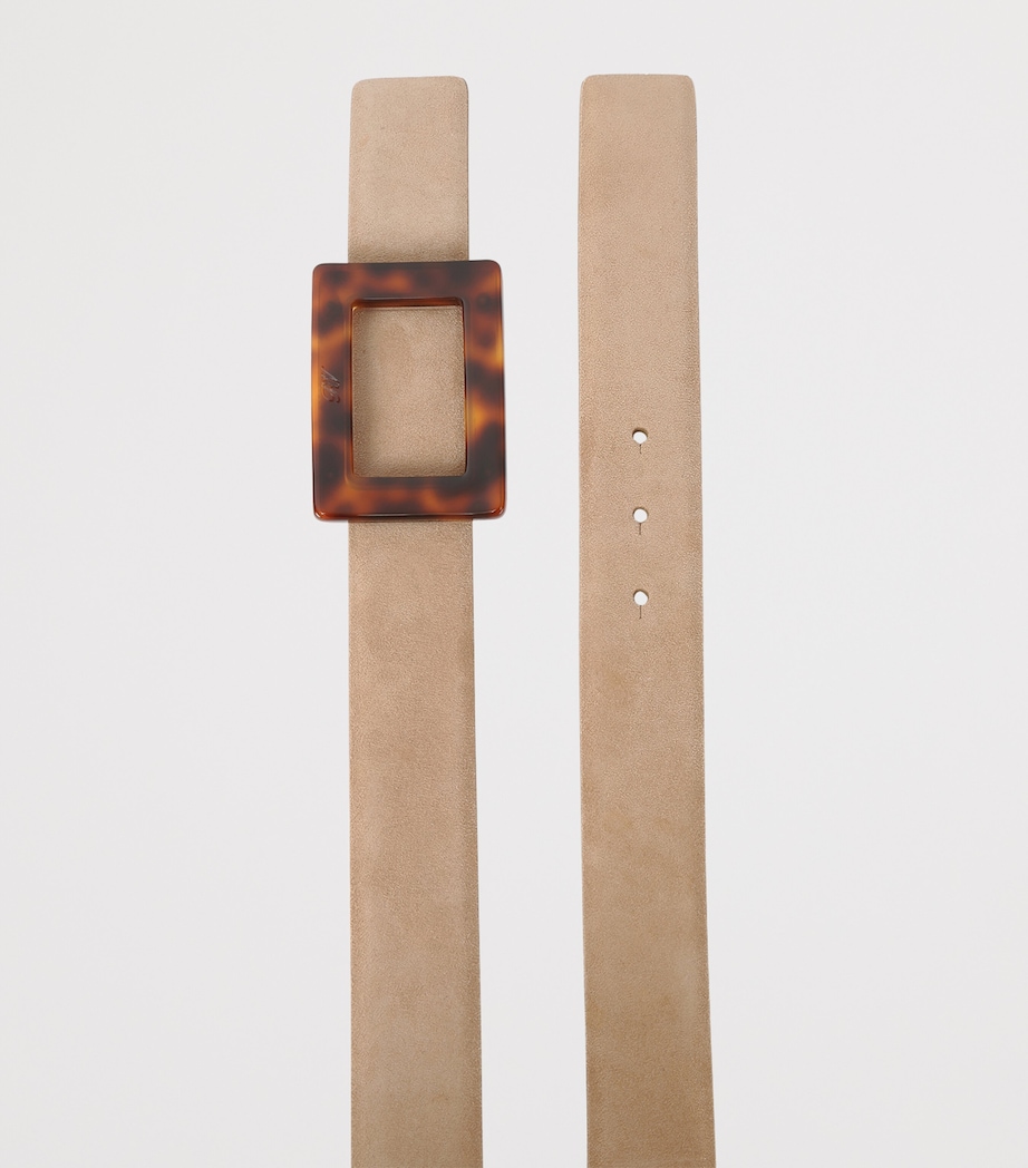 Suede Belle Vivier Belt BROWN Image 3