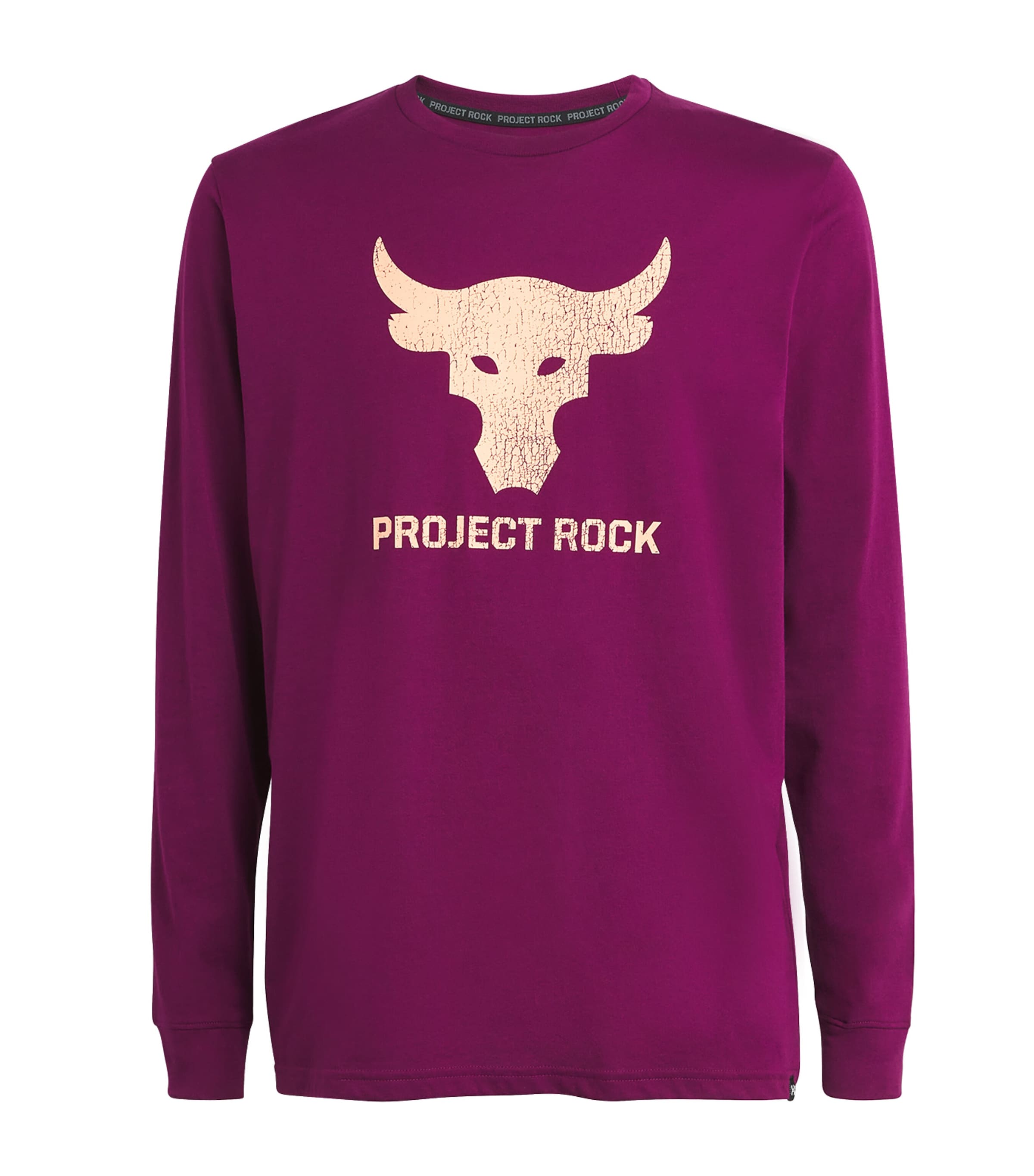 Under Armour Project Rock T-shirt In Purple